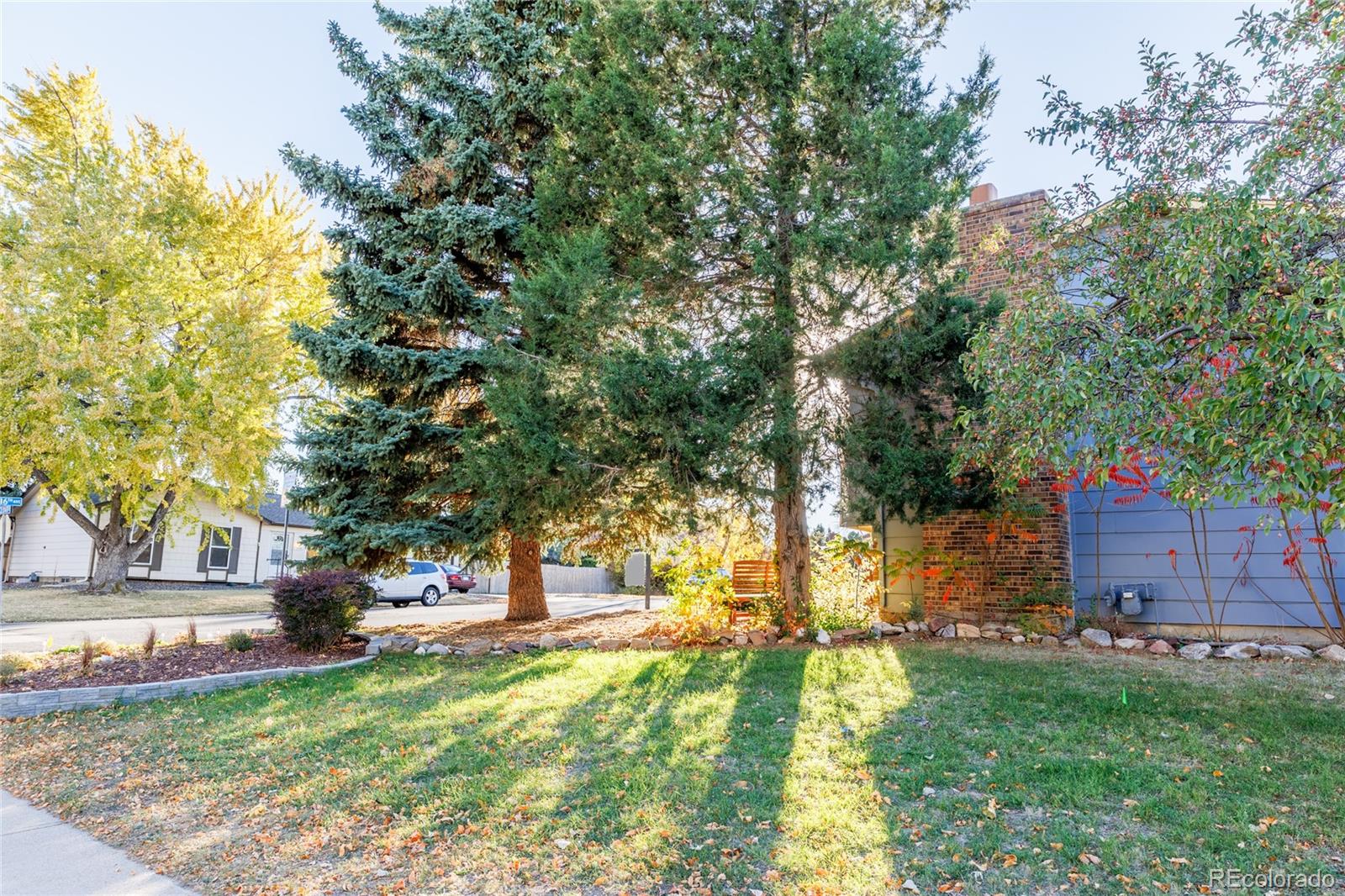 MLS Image #41 for 1609  cedar street,broomfield, Colorado