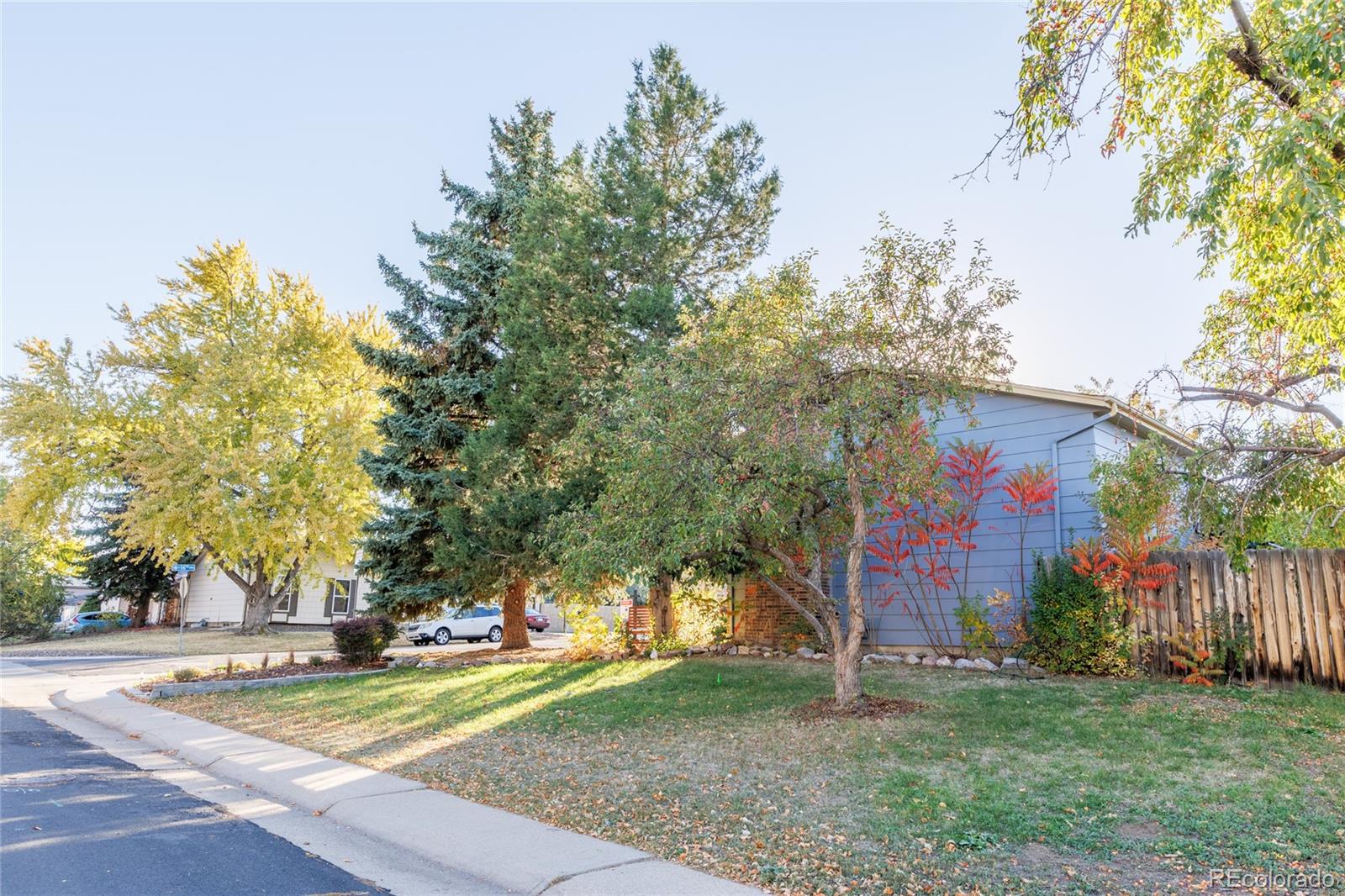 MLS Image #42 for 1609  cedar street,broomfield, Colorado