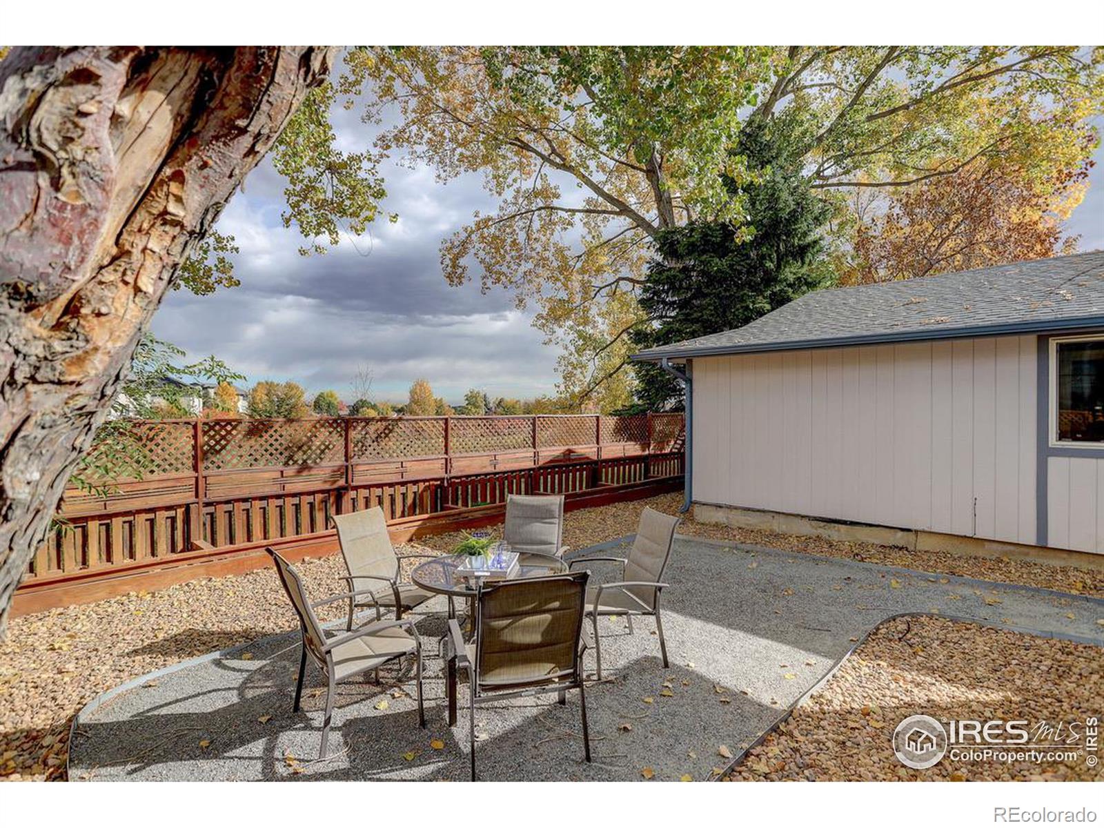 MLS Image #18 for 989  pasque drive,longmont, Colorado