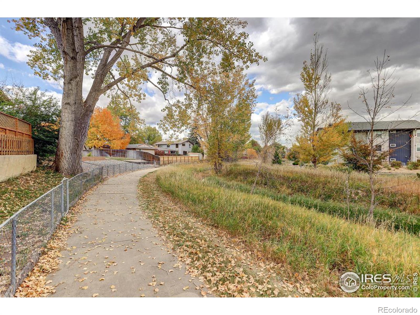 MLS Image #20 for 989  pasque drive,longmont, Colorado