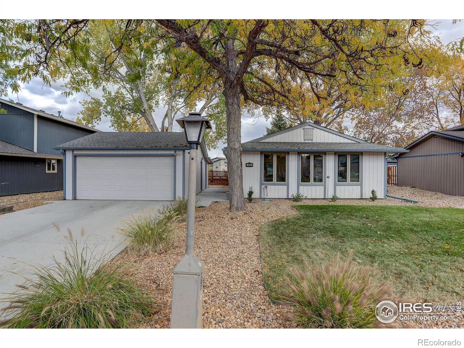 MLS Image #21 for 989  pasque drive,longmont, Colorado