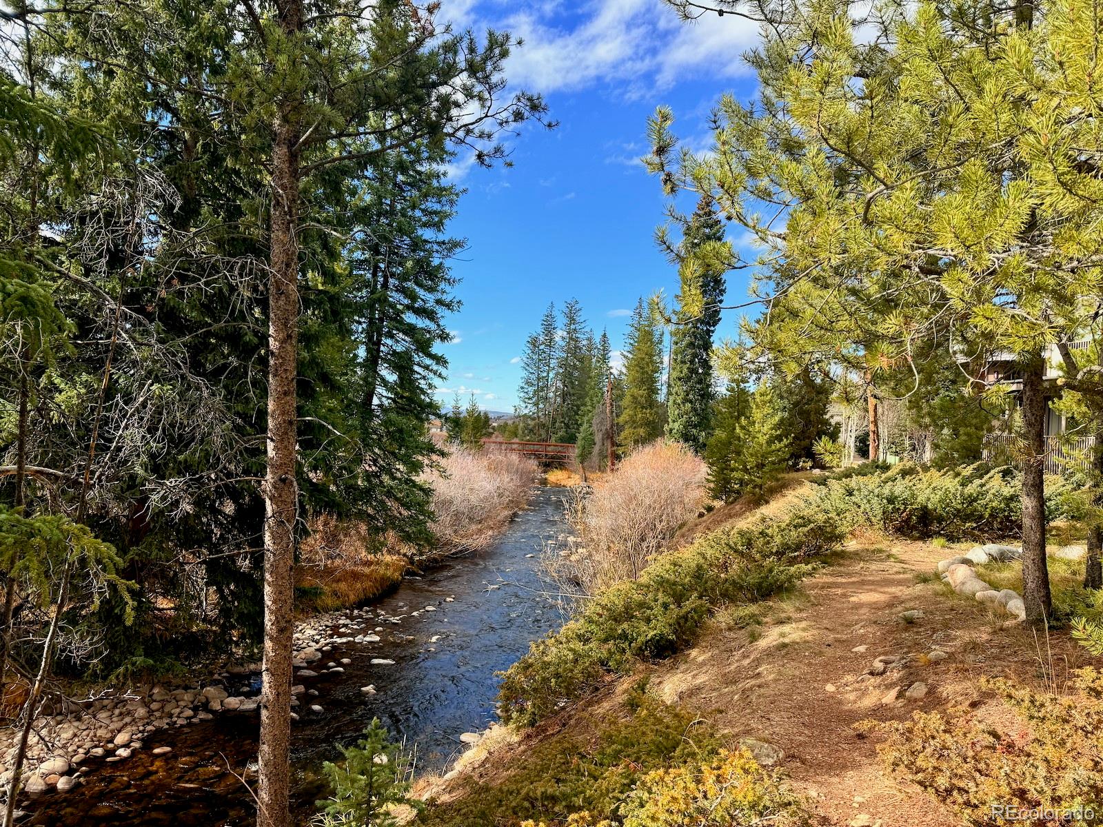 MLS Image #15 for 477  hi country drive,winter park, Colorado