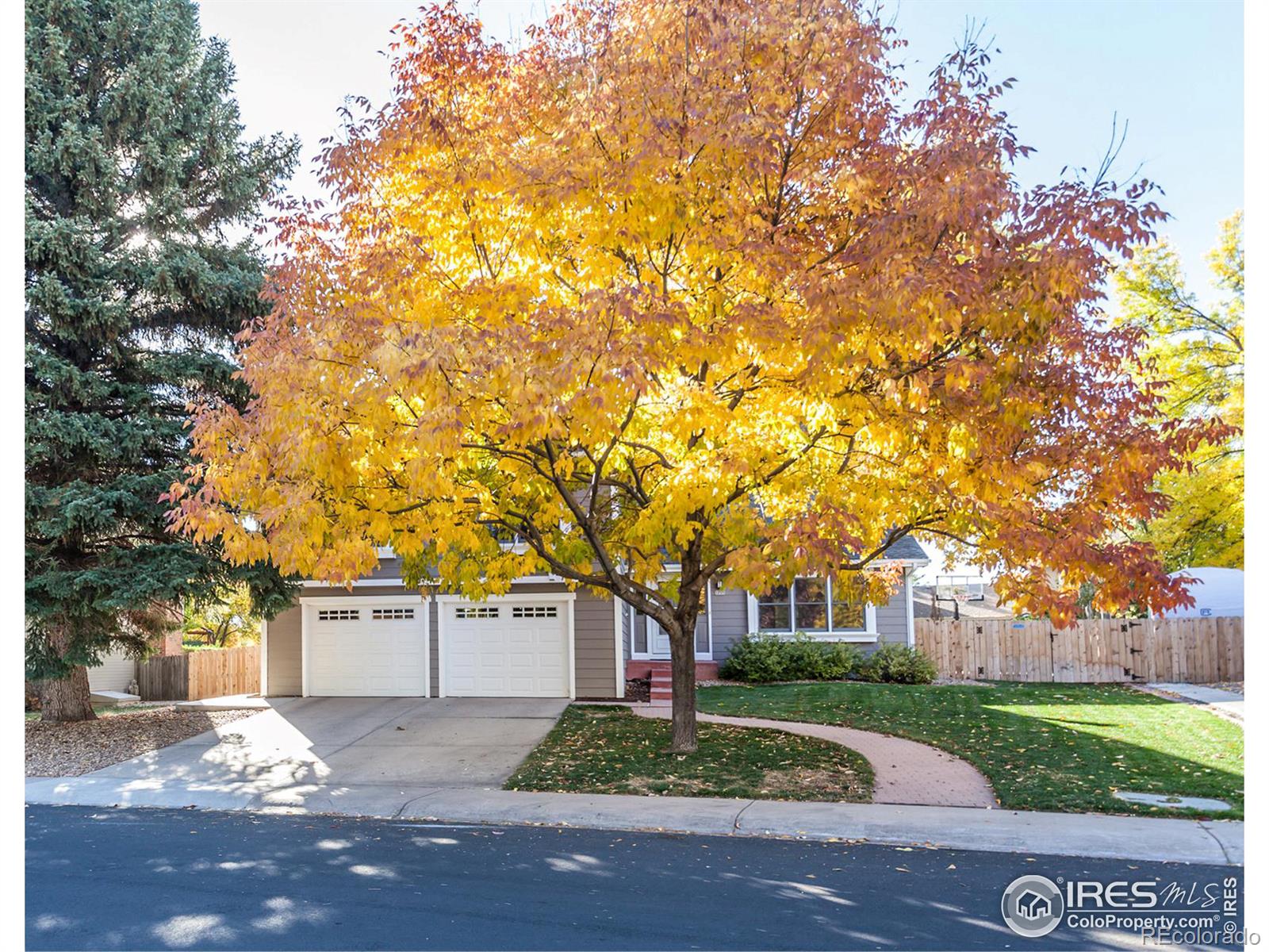 MLS Image #2 for 1201  mansfield drive,fort collins, Colorado