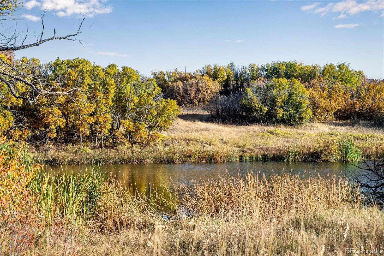 MLS Image #28 for 6643  shannock avenue,castle rock, Colorado