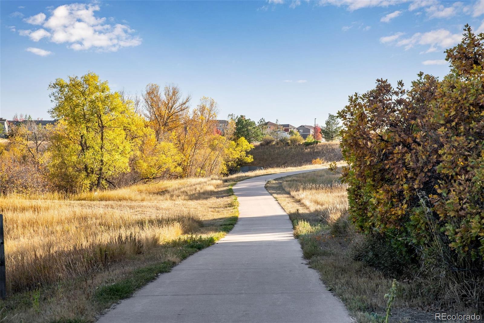 MLS Image #31 for 6643  shannock avenue,castle rock, Colorado