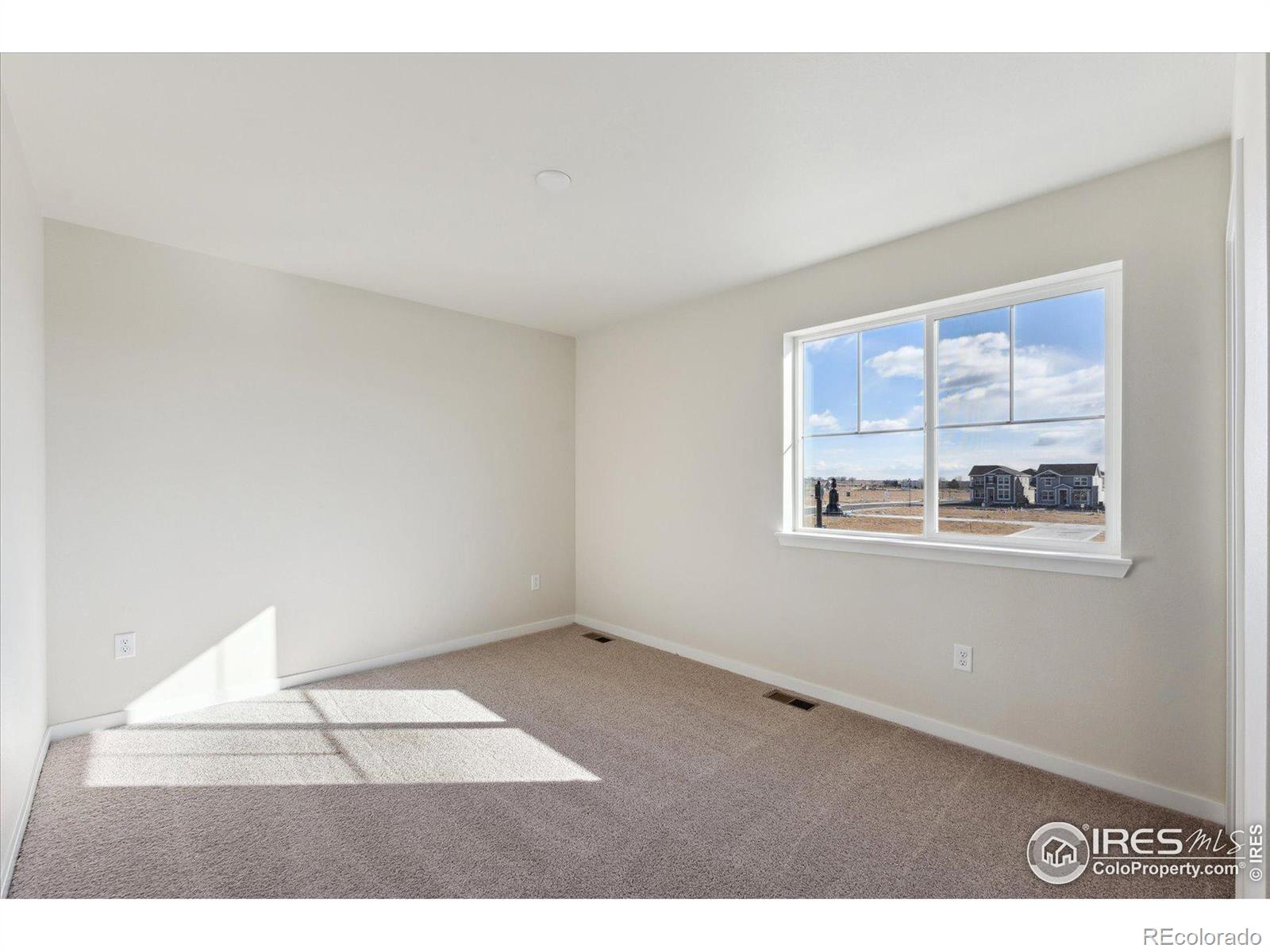 MLS Image #13 for 4459  shivaree street,timnath, Colorado