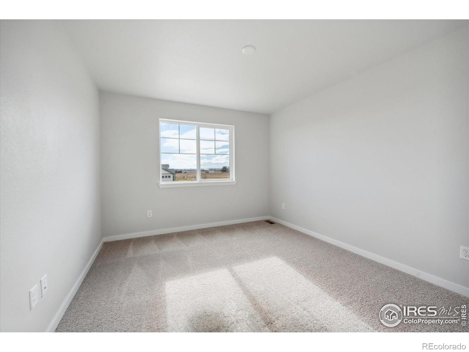 MLS Image #20 for 902  hummocky way,windsor, Colorado