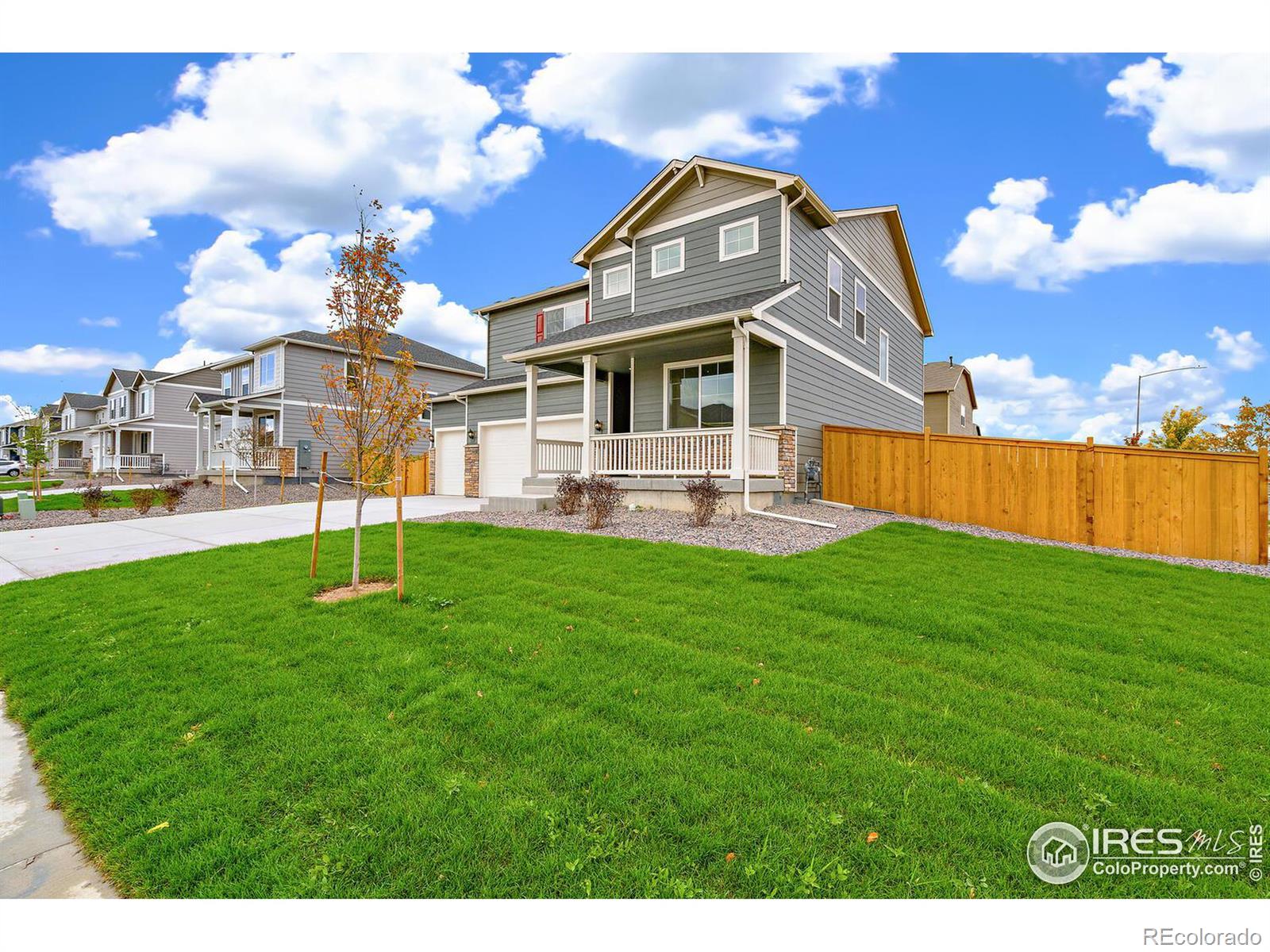 CMA Image for 1757  knobby pine drive,Fort Collins, Colorado