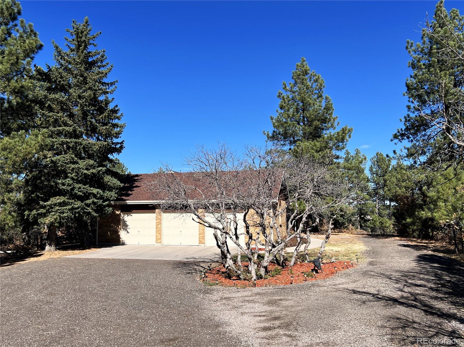 MLS Image #4 for 10765  deerfield road,franktown, Colorado