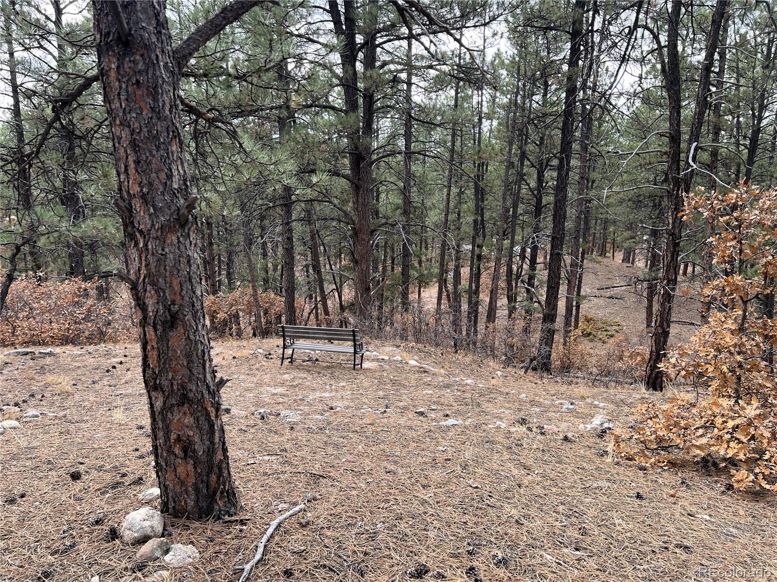 MLS Image #46 for 10765  deerfield road,franktown, Colorado