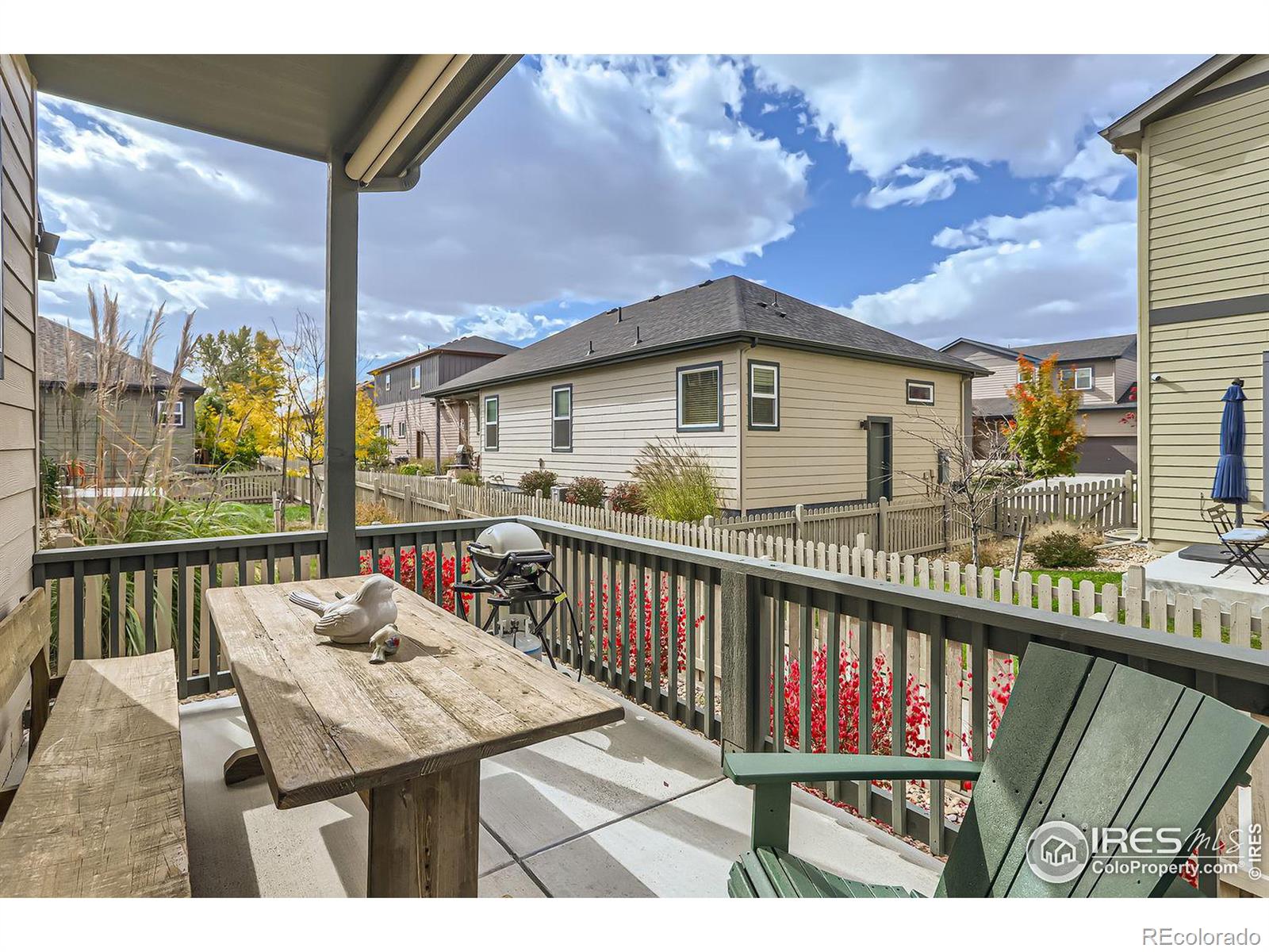 MLS Image #28 for 1309 s oak court,longmont, Colorado