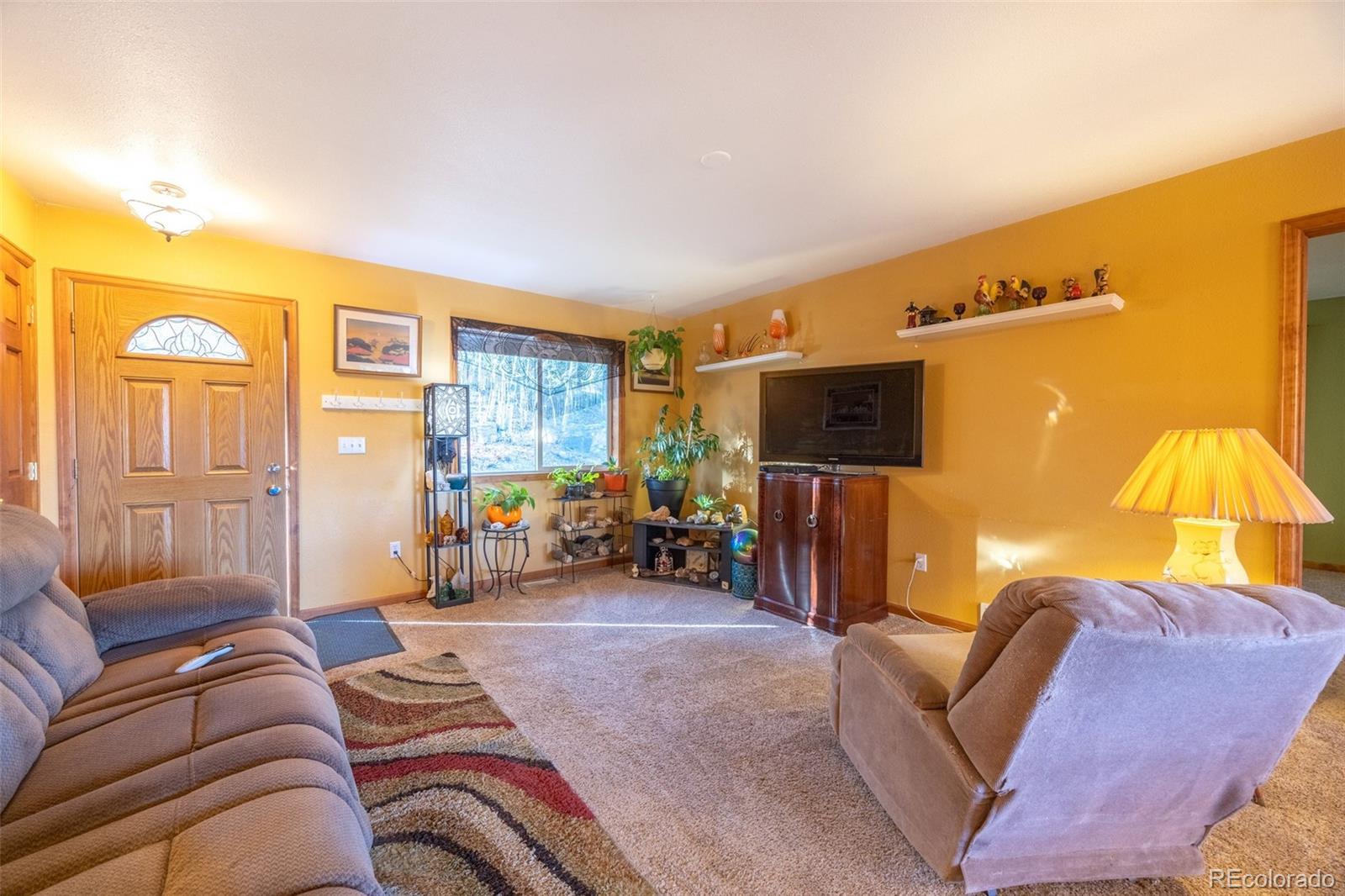 MLS Image #10 for 493  caesar road,black hawk, Colorado