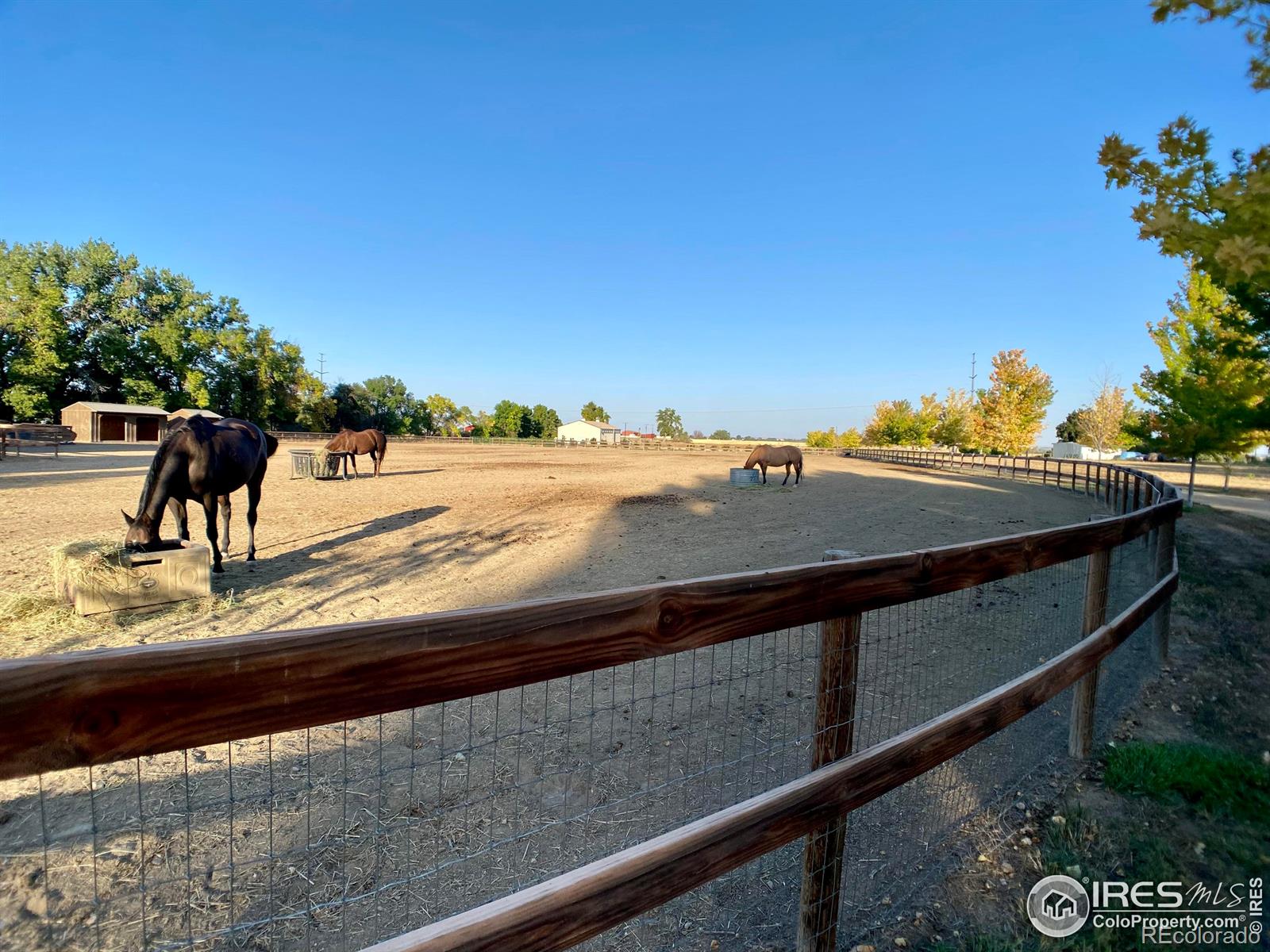 MLS Image #37 for 14445  county road 3 ,longmont, Colorado