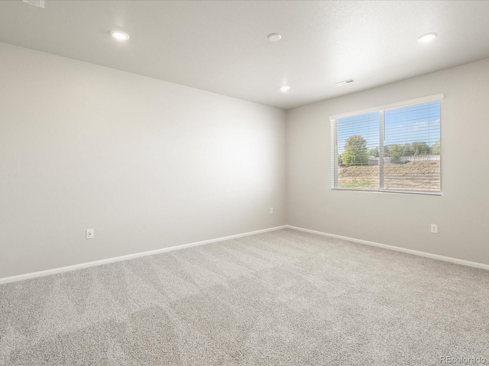 MLS Image #19 for 1678  rumley creek drive,windsor, Colorado