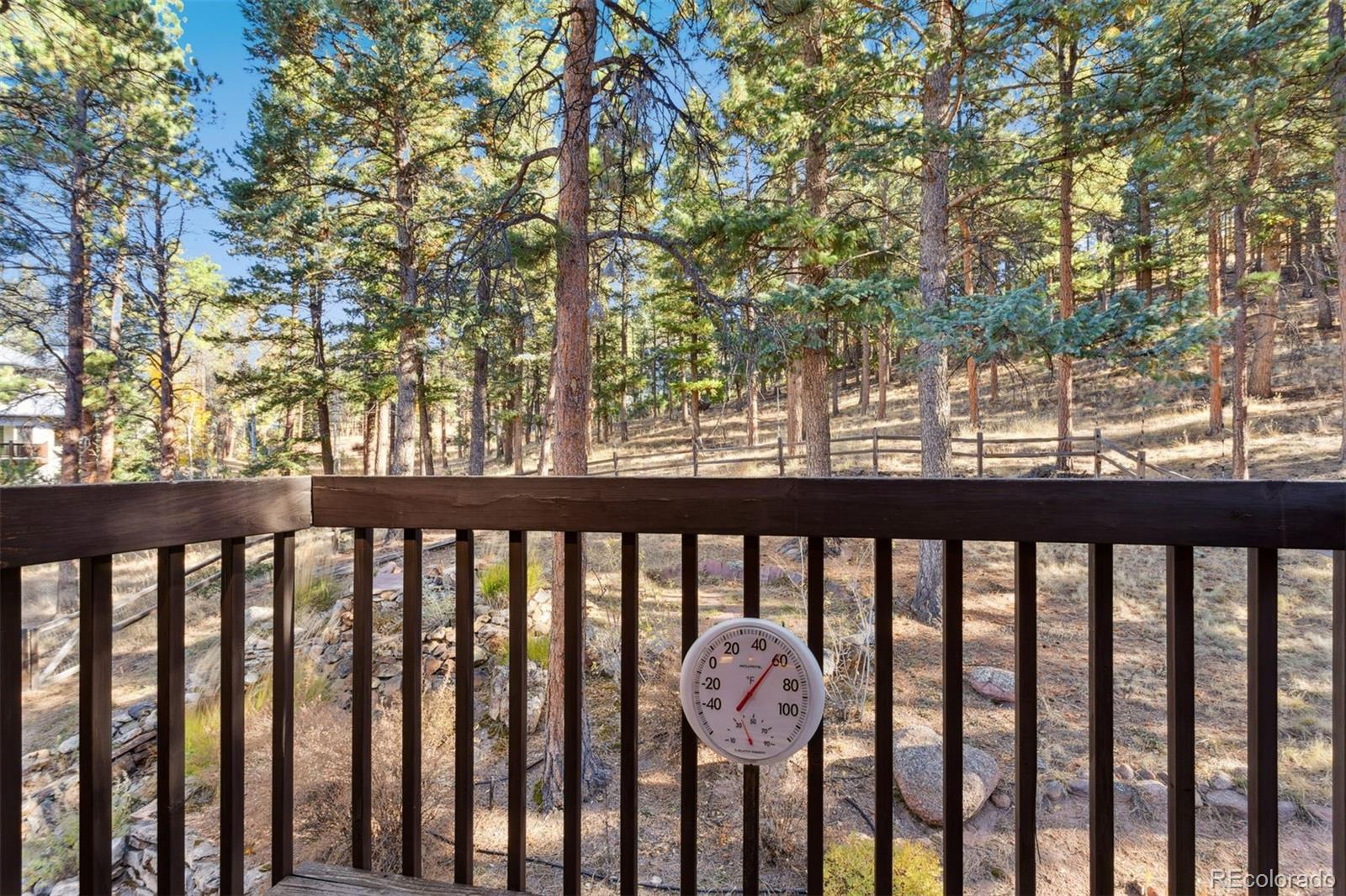 MLS Image #34 for 350  ponderosa court,woodland park, Colorado