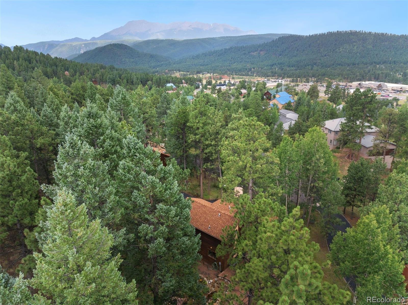 MLS Image #7 for 350  ponderosa court,woodland park, Colorado