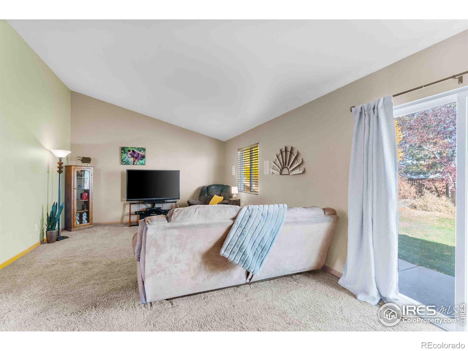 MLS Image #11 for 3401  coal creek street,loveland, Colorado