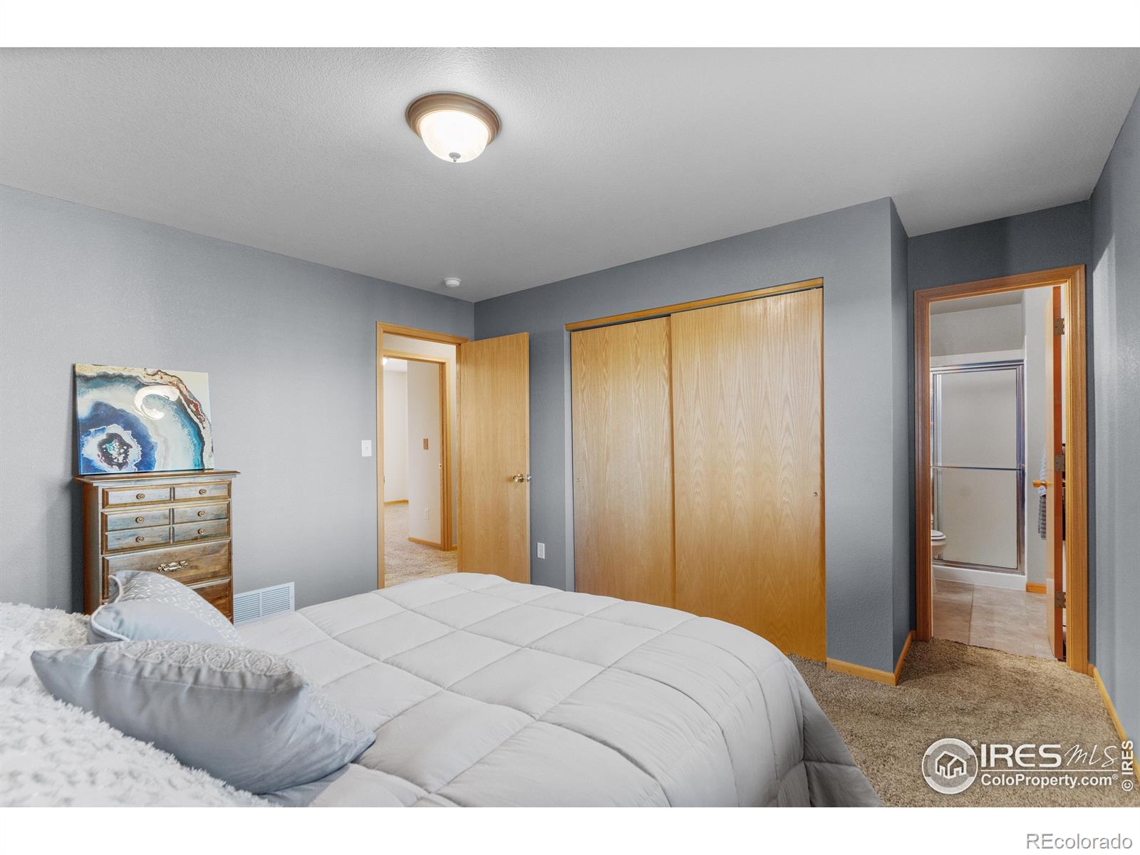 MLS Image #17 for 3401  coal creek street,loveland, Colorado