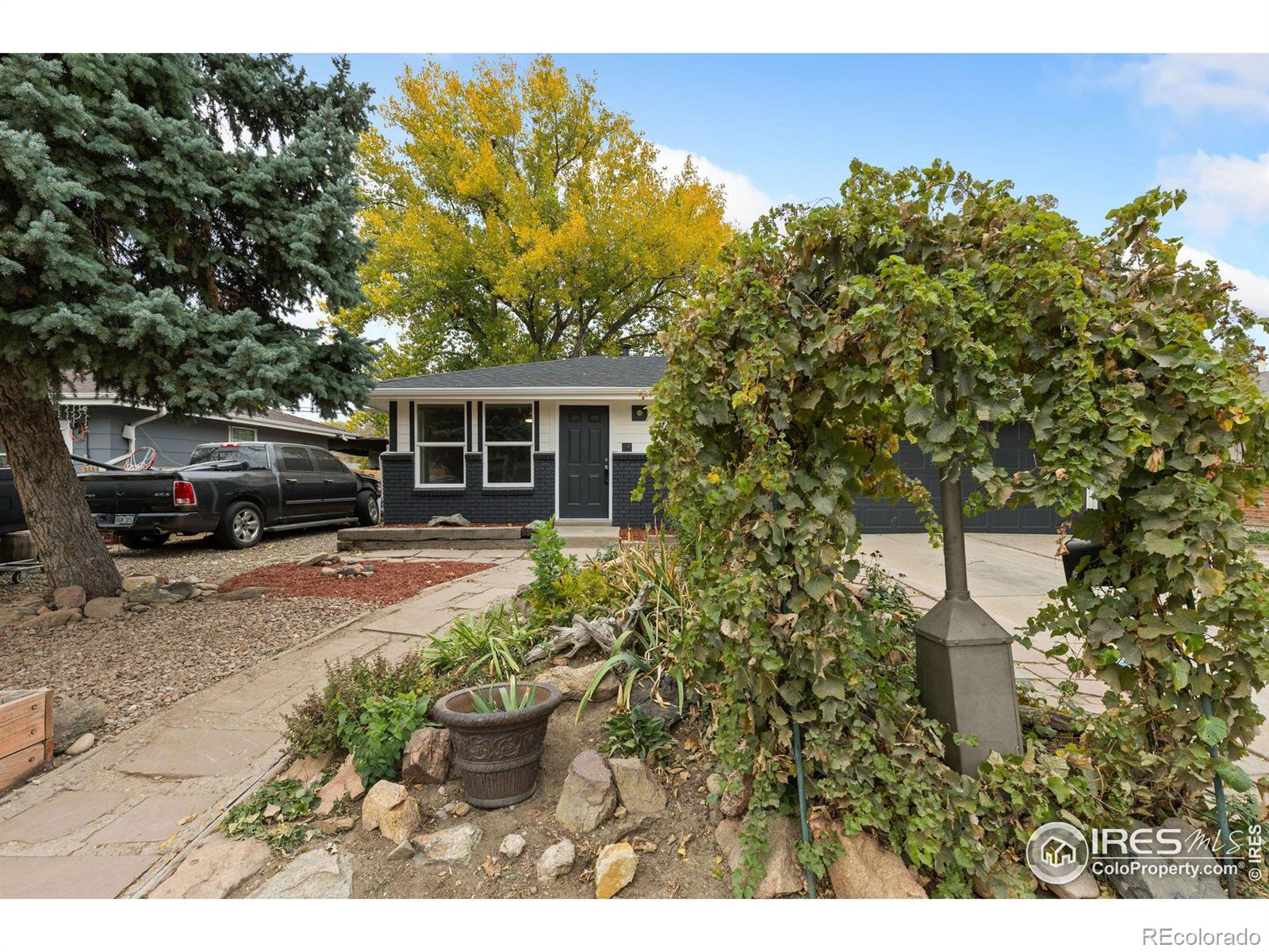 CMA Image for 1339  martin street,Longmont, Colorado