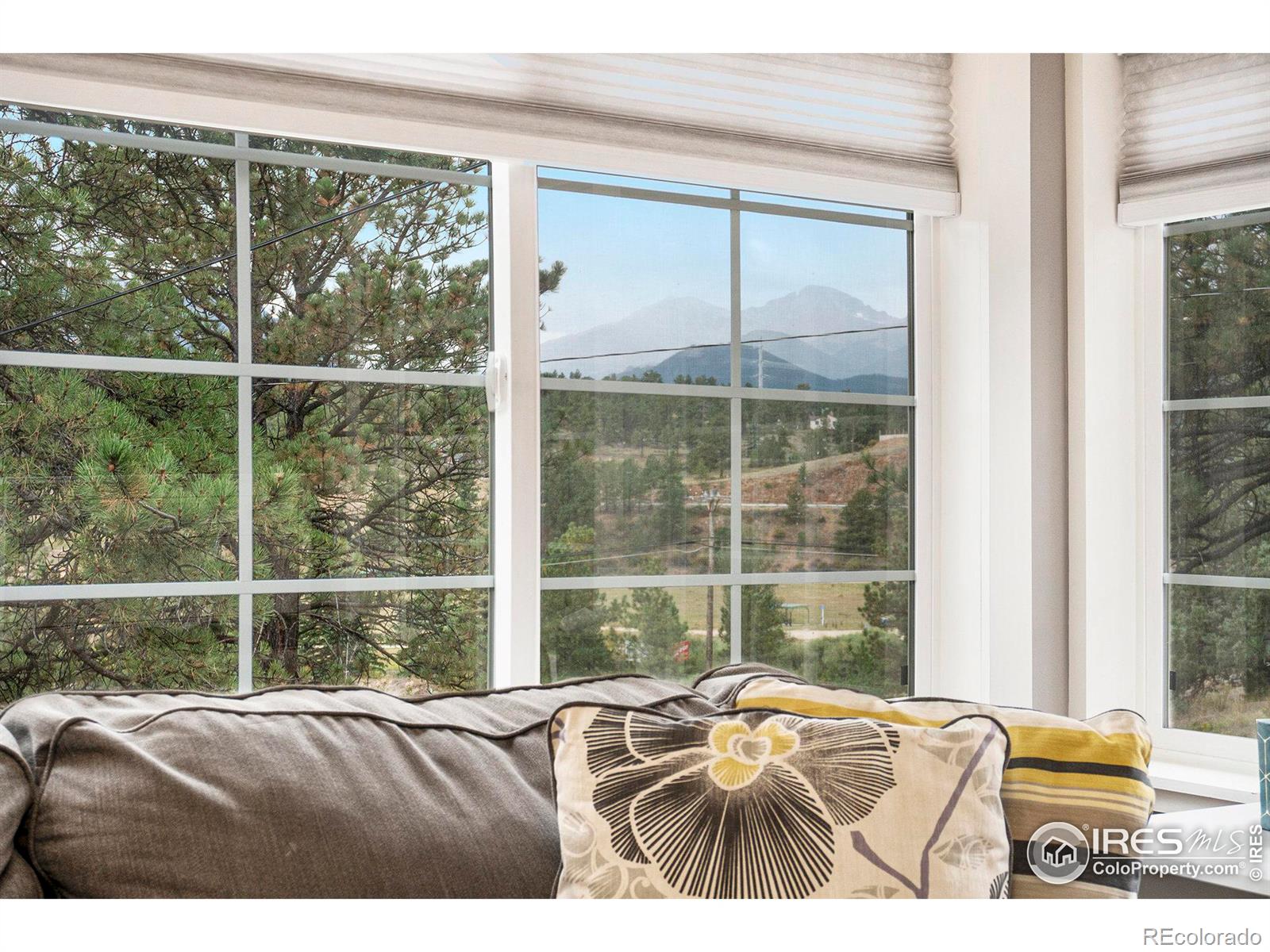 MLS Image #8 for 186  olympus lane,estes park, Colorado