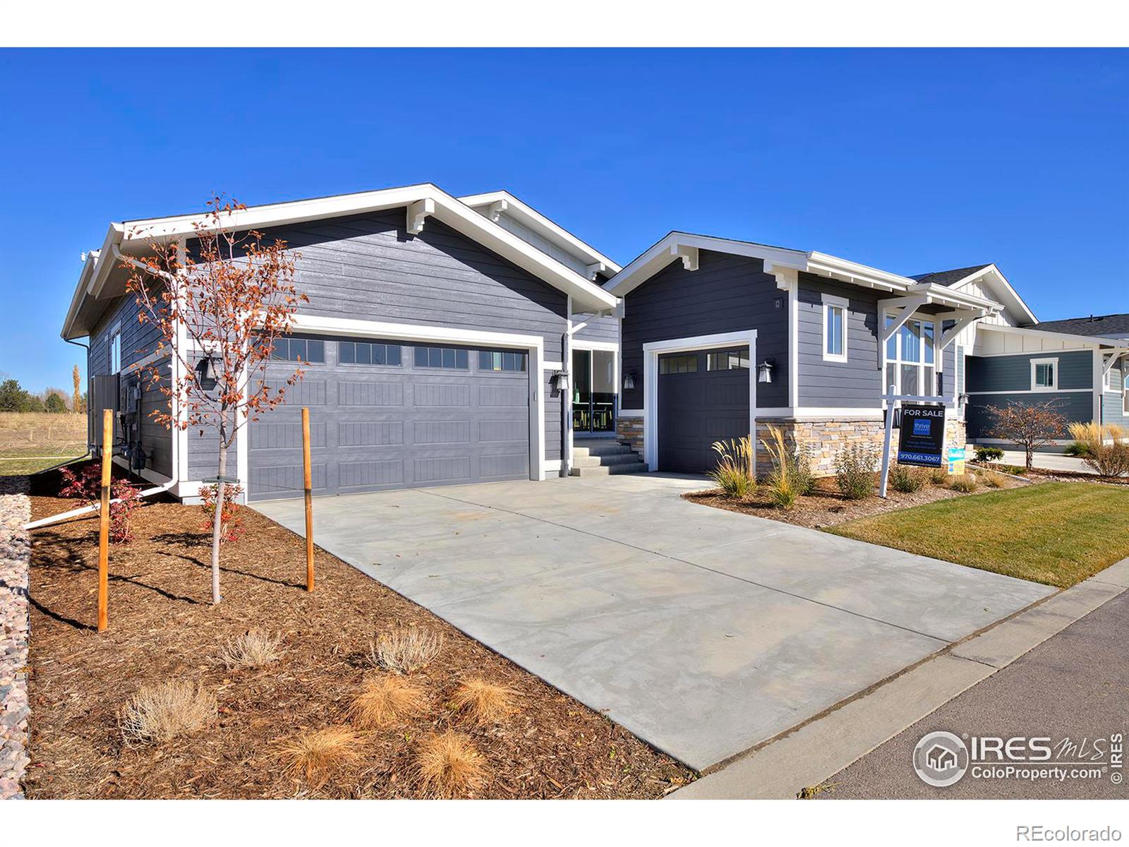 MLS Image #3 for 1828  morningstar way,fort collins, Colorado