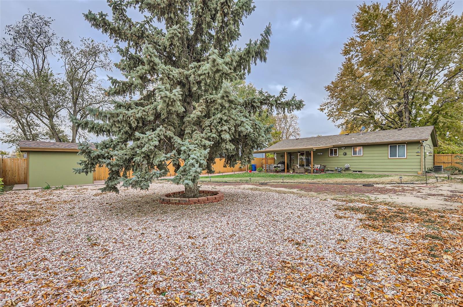 MLS Image #26 for 1220  vine street,gilcrest, Colorado