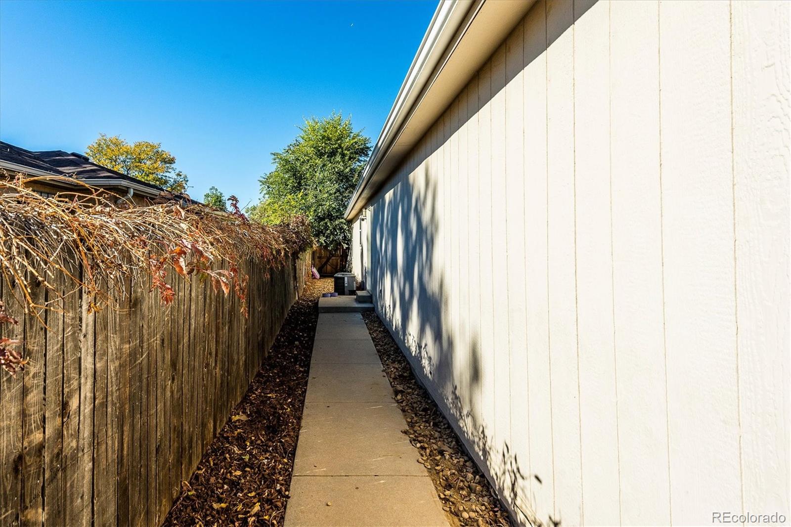 MLS Image #32 for 3094  ivanhoe street,denver, Colorado