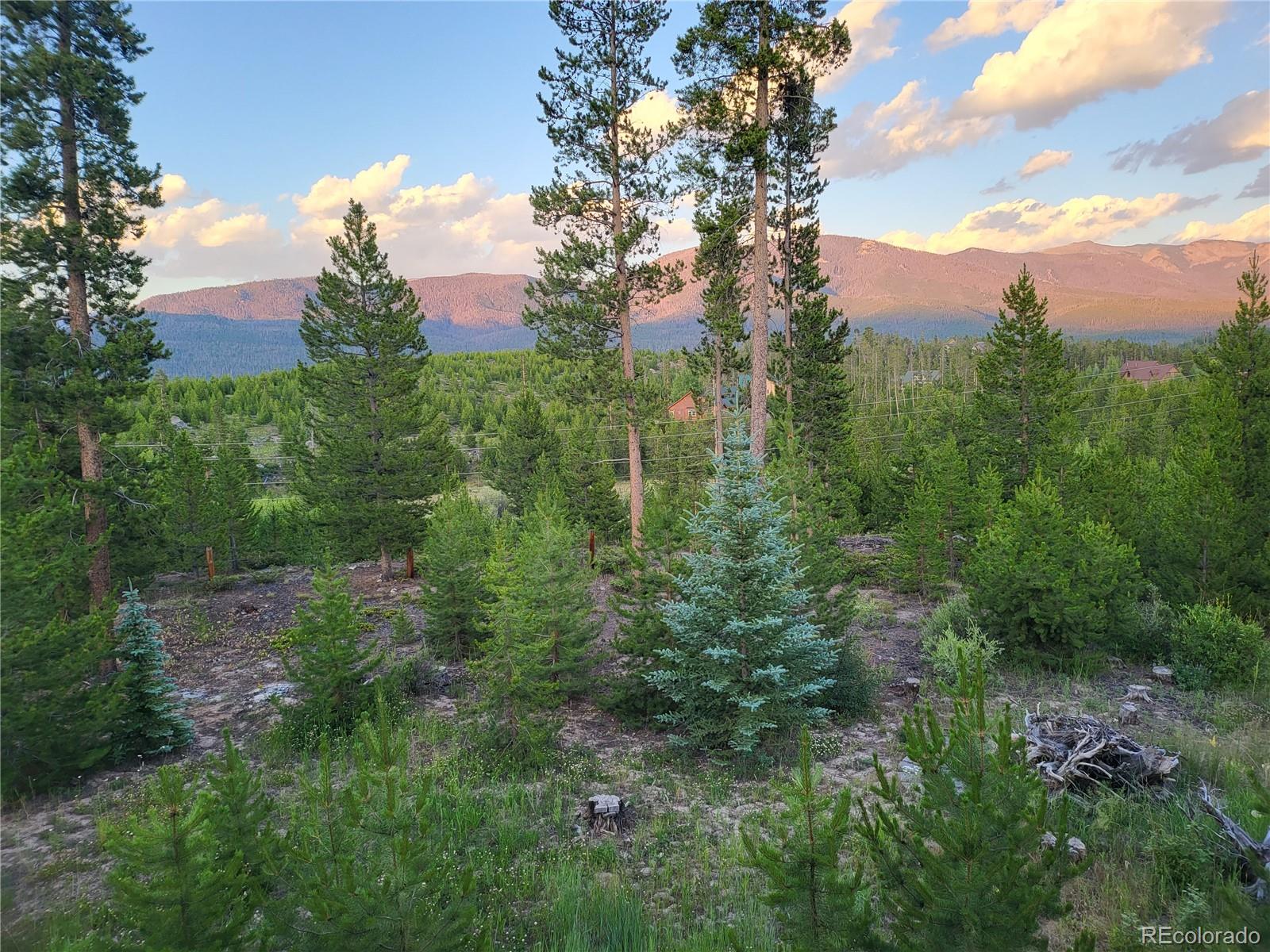 MLS Image #4 for 385  trail ridge drive,grand lake, Colorado