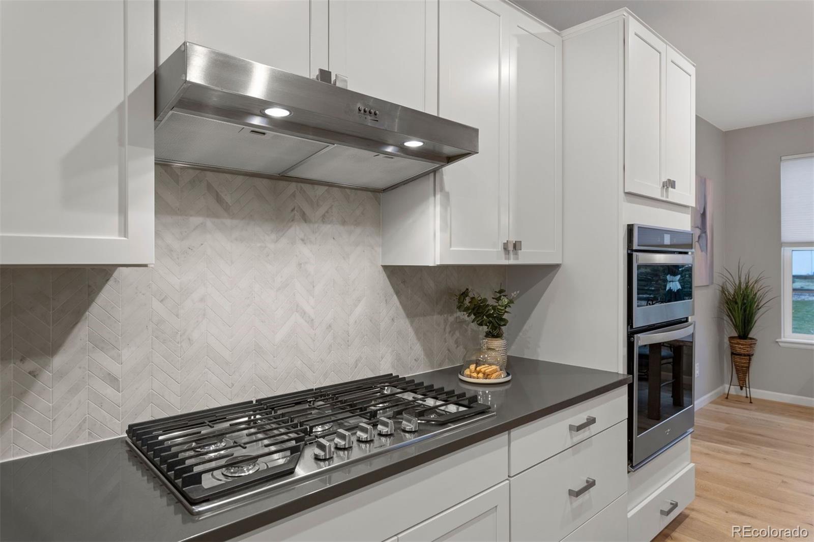 MLS Image #10 for 23890 e minnow drive,aurora, Colorado