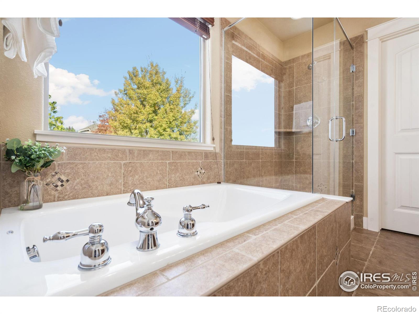 MLS Image #23 for 642  wind river court,windsor, Colorado