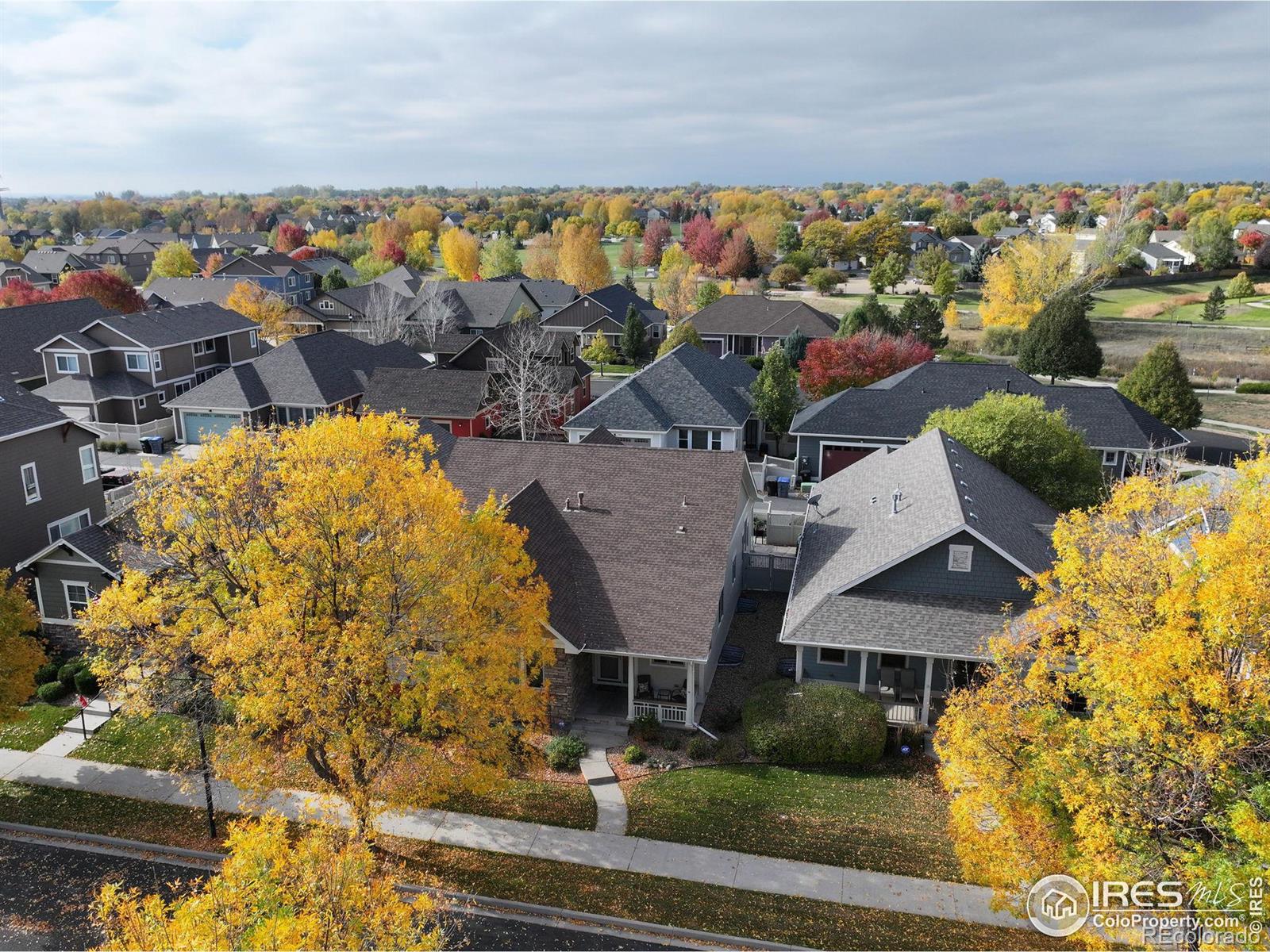 MLS Image #39 for 1463  moonlight drive,longmont, Colorado