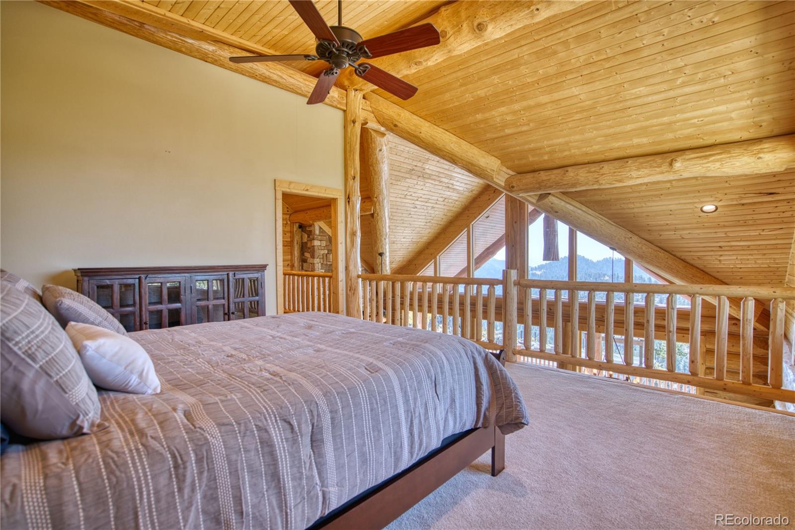 MLS Image #19 for 5035  cr-104 ,guffey, Colorado