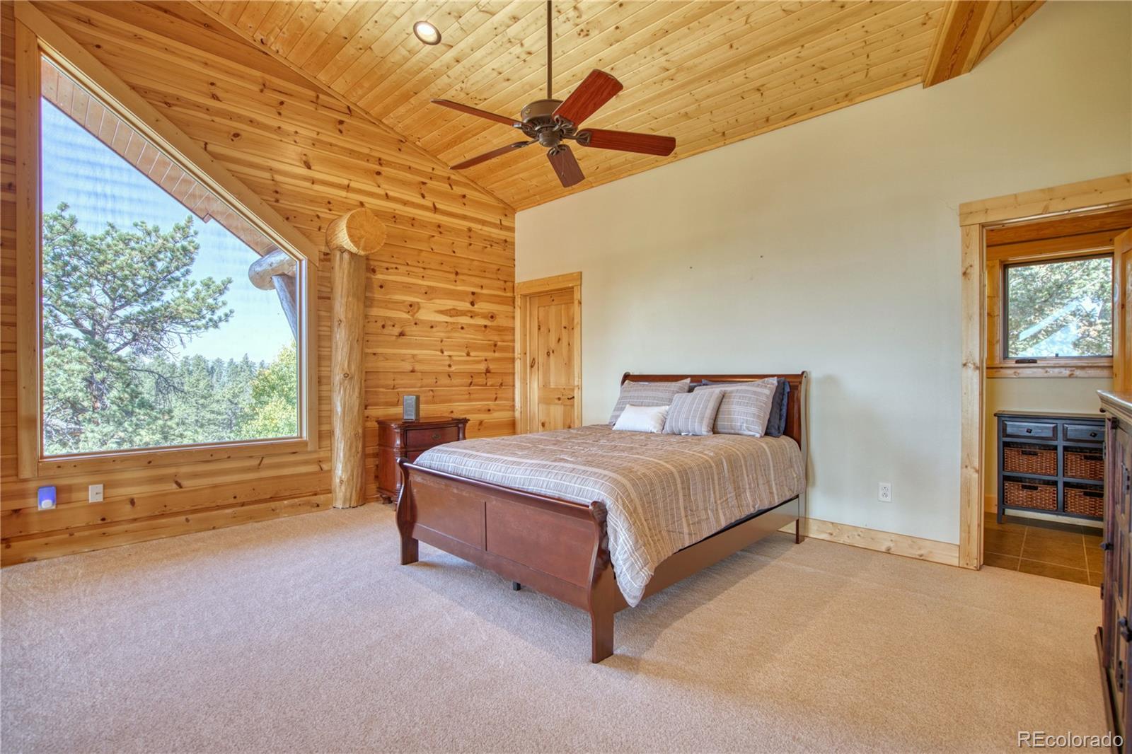 MLS Image #20 for 5035  cr-104 ,guffey, Colorado