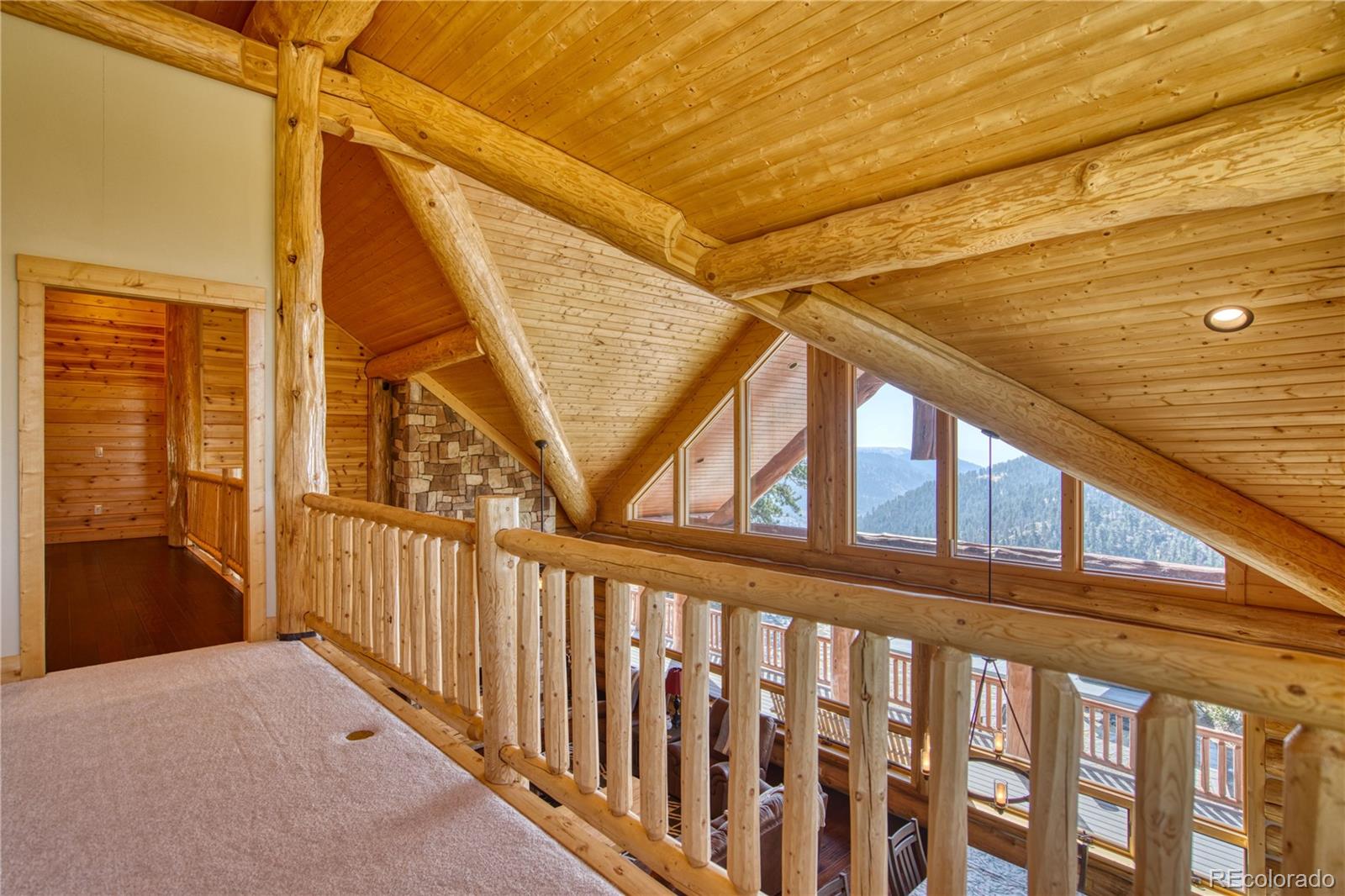 MLS Image #22 for 5035  cr-104 ,guffey, Colorado