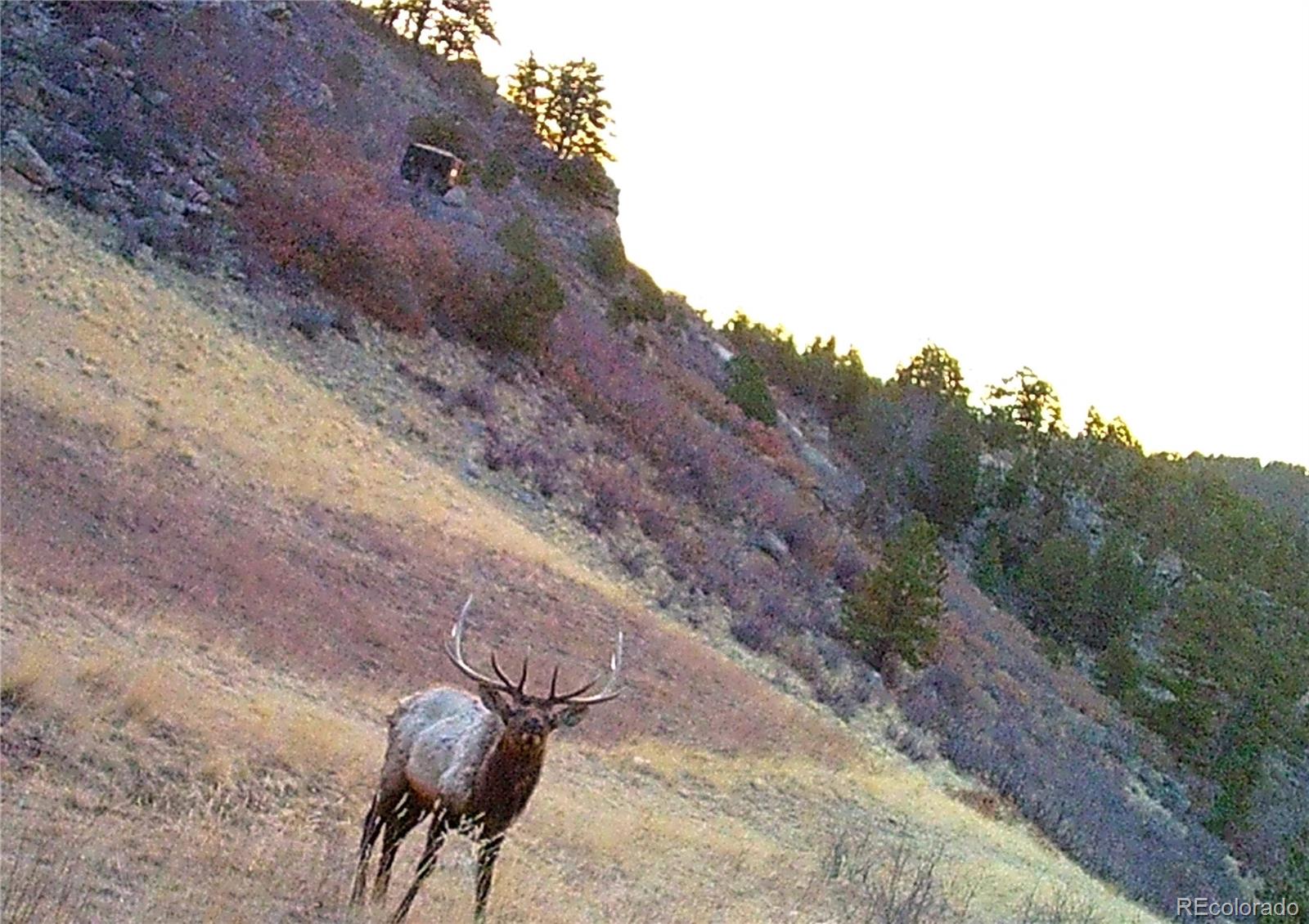 MLS Image #48 for 5035  cr-104 ,guffey, Colorado