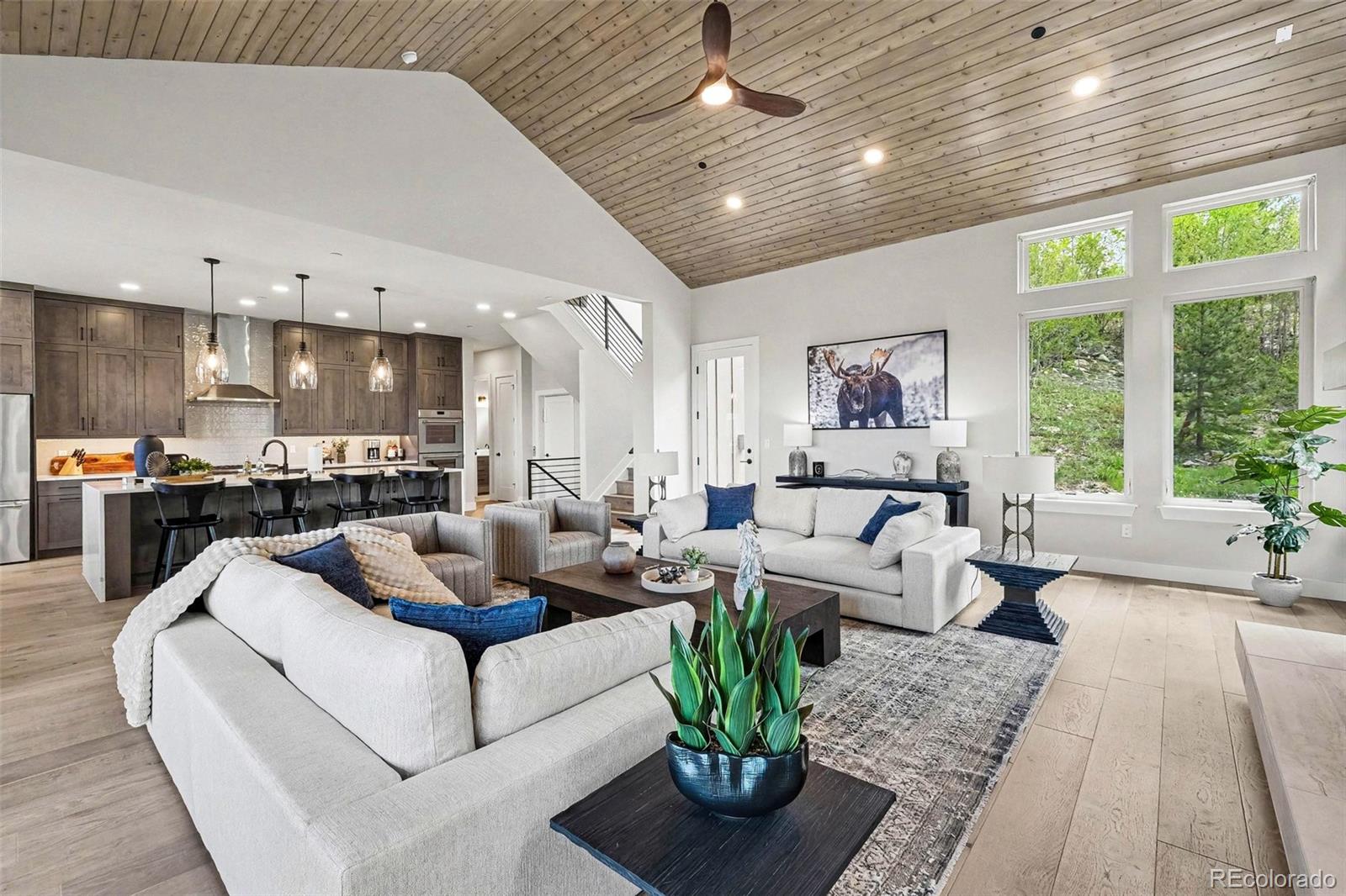 MLS Image #11 for 64  overlook place,winter park, Colorado