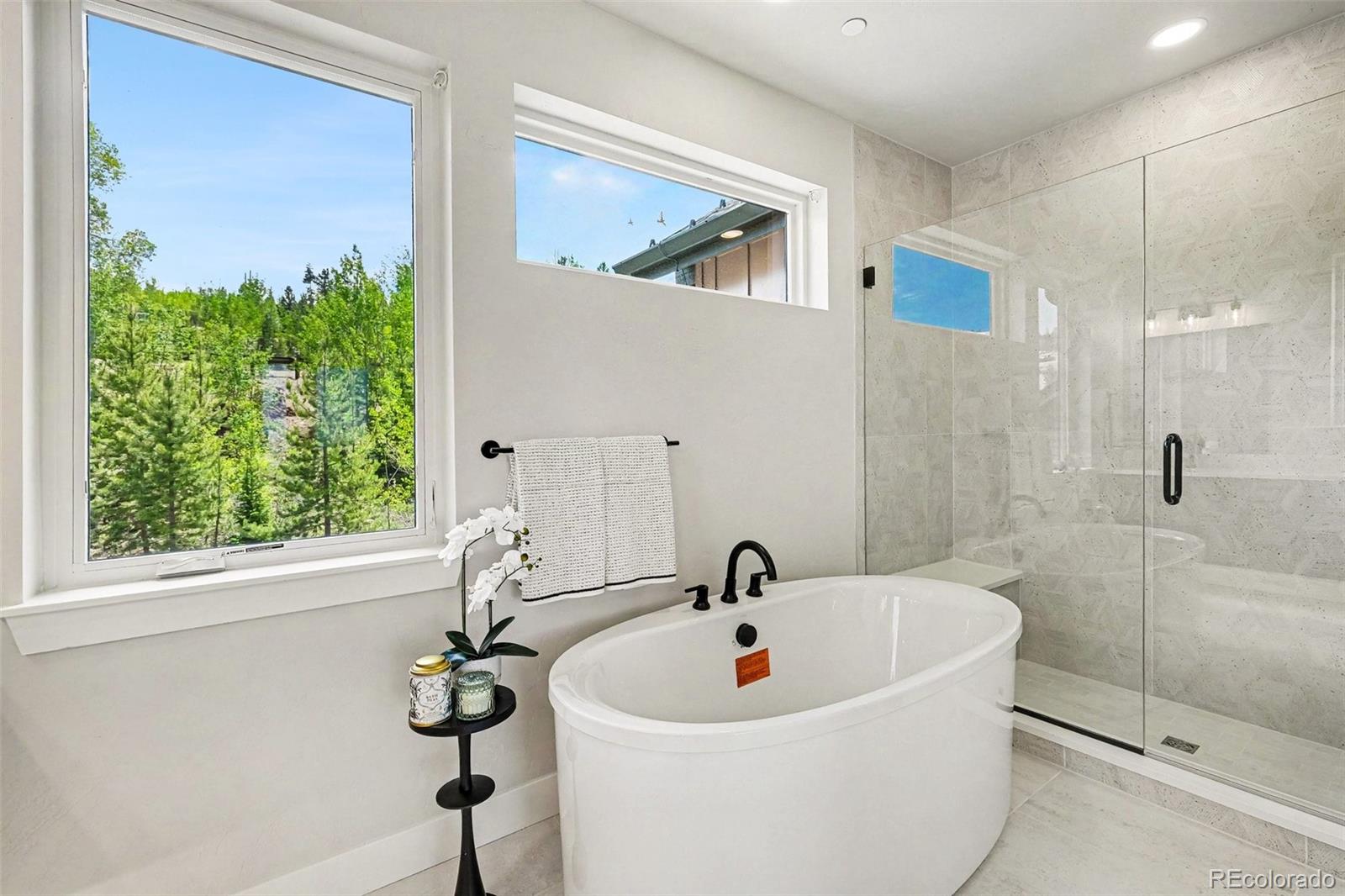 MLS Image #29 for 64  overlook place,winter park, Colorado