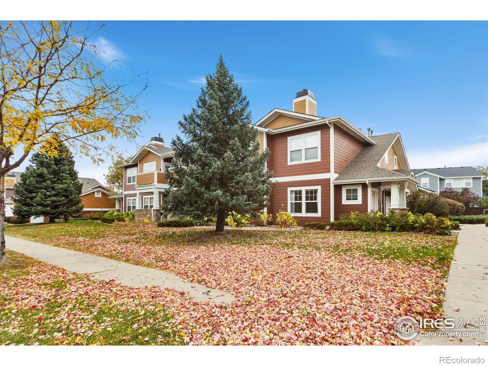 MLS Image #0 for 2121  owens avenue,fort collins, Colorado