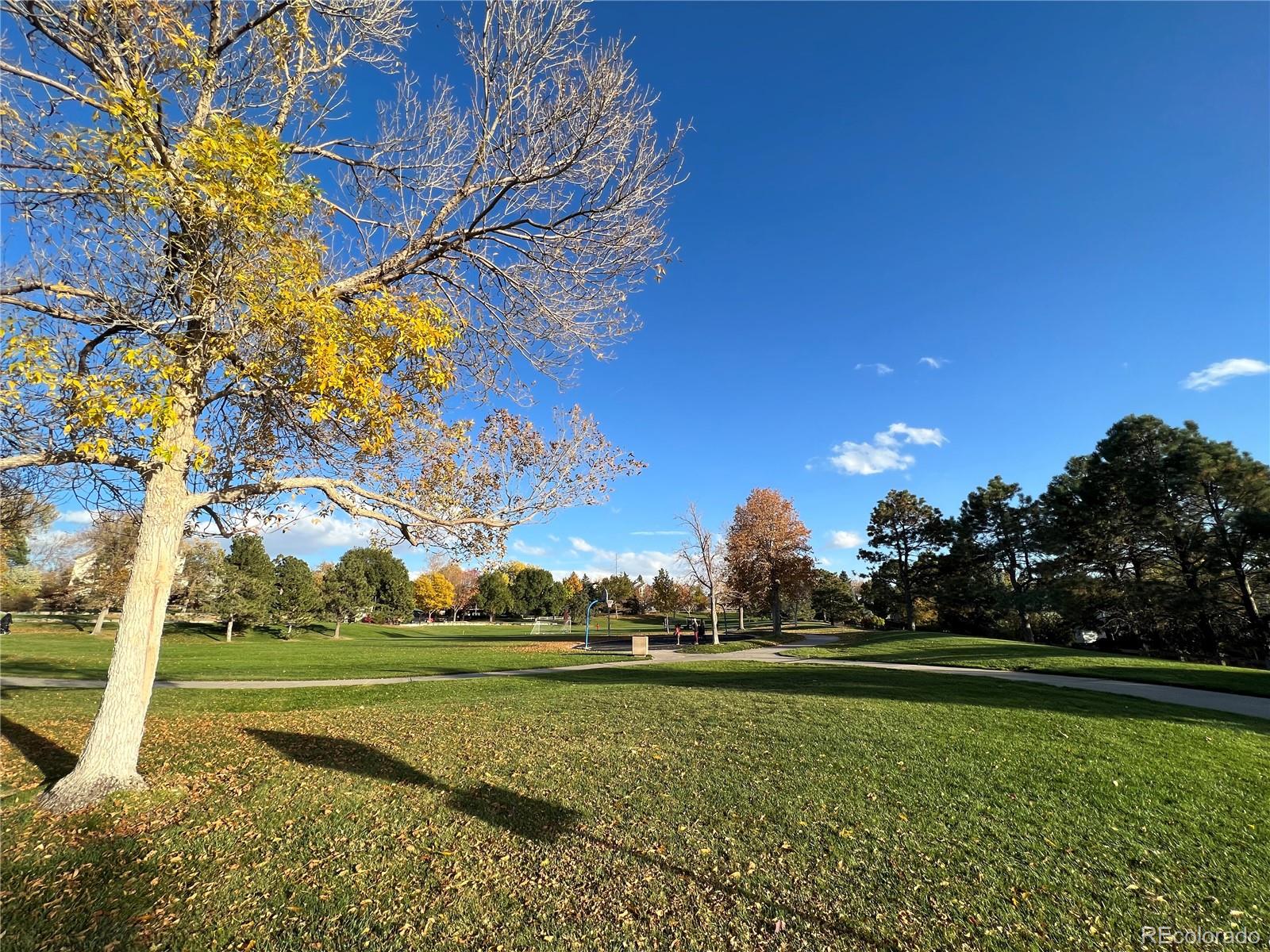 MLS Image #46 for 9561  brentford drive,highlands ranch, Colorado