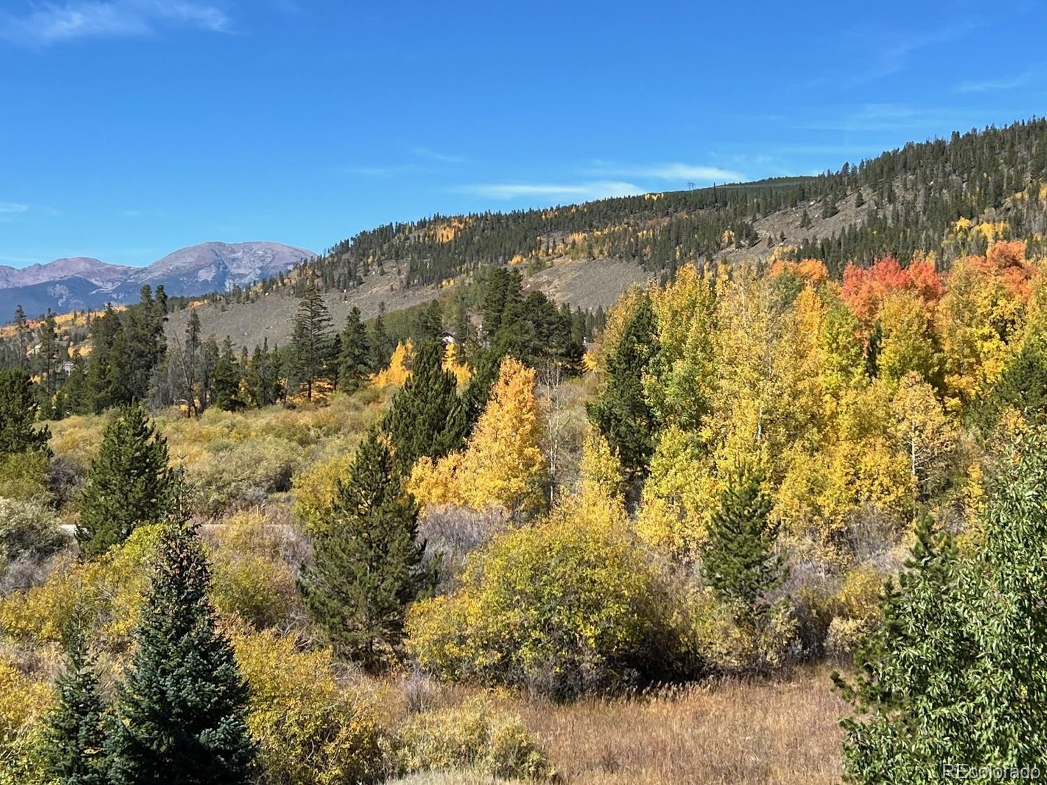 MLS Image #7 for 22787  us highway 6 ,keystone, Colorado