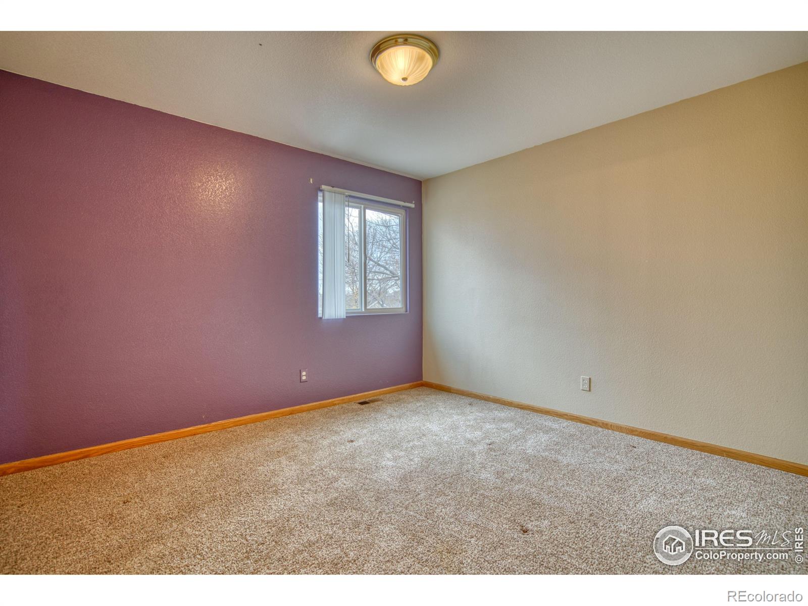 MLS Image #12 for 456  lilac avenue,eaton, Colorado