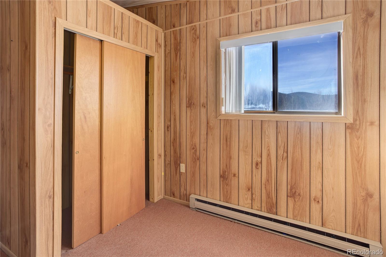 MLS Image #13 for 80  spur road,divide, Colorado