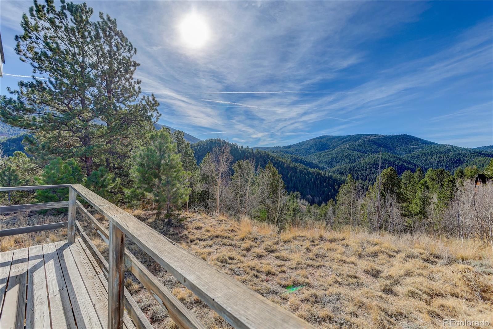 MLS Image #16 for 80  spur road,divide, Colorado