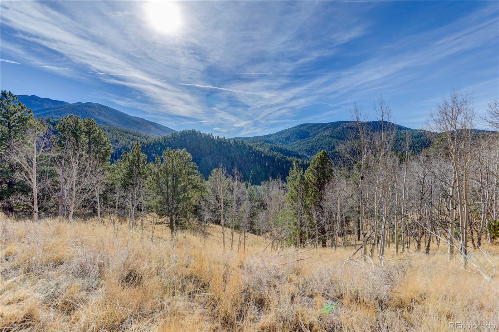 MLS Image #17 for 80  spur road,divide, Colorado