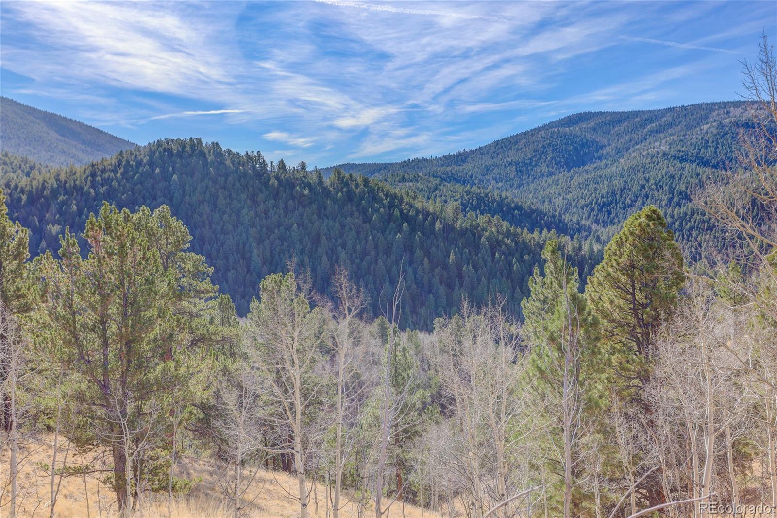 MLS Image #18 for 80  spur road,divide, Colorado