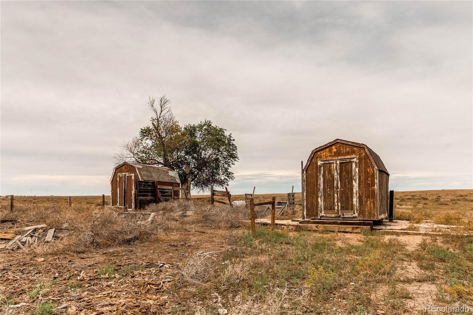 MLS Image #43 for 33409  highway 14 ,briggsdale, Colorado