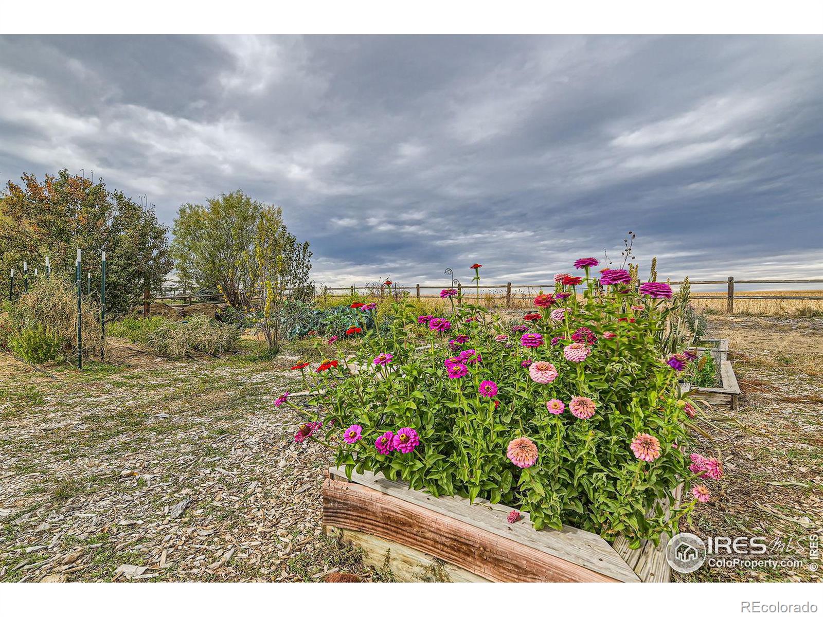 MLS Image #5 for 18715  wagon trail,mead, Colorado
