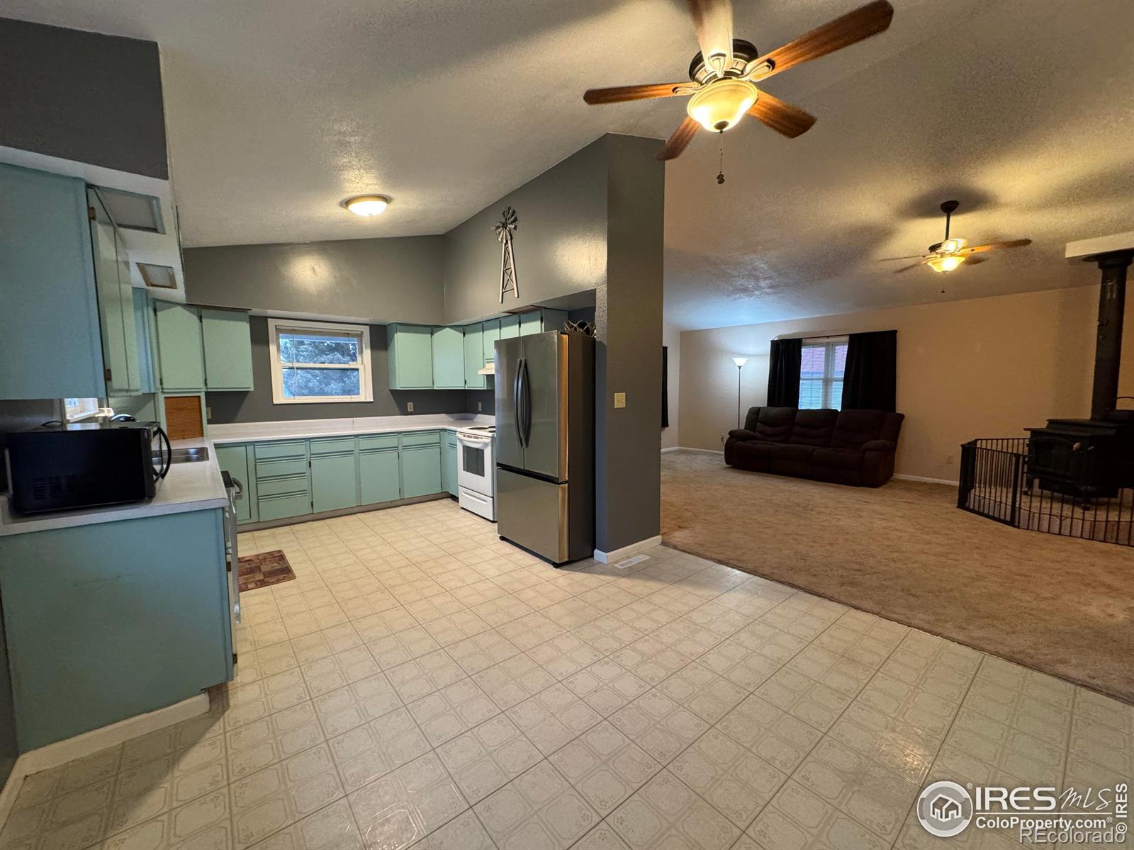 MLS Image #11 for 553  garfield street,walden, Colorado