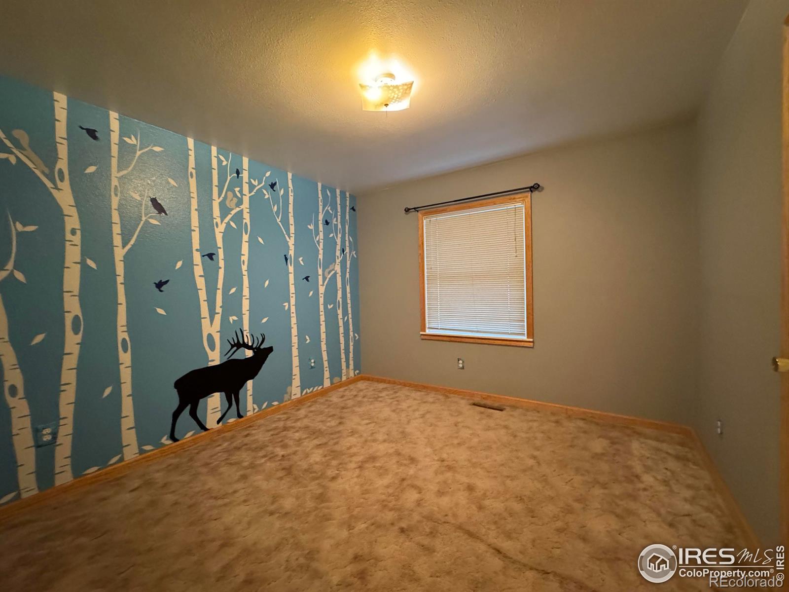 MLS Image #13 for 553  garfield street,walden, Colorado