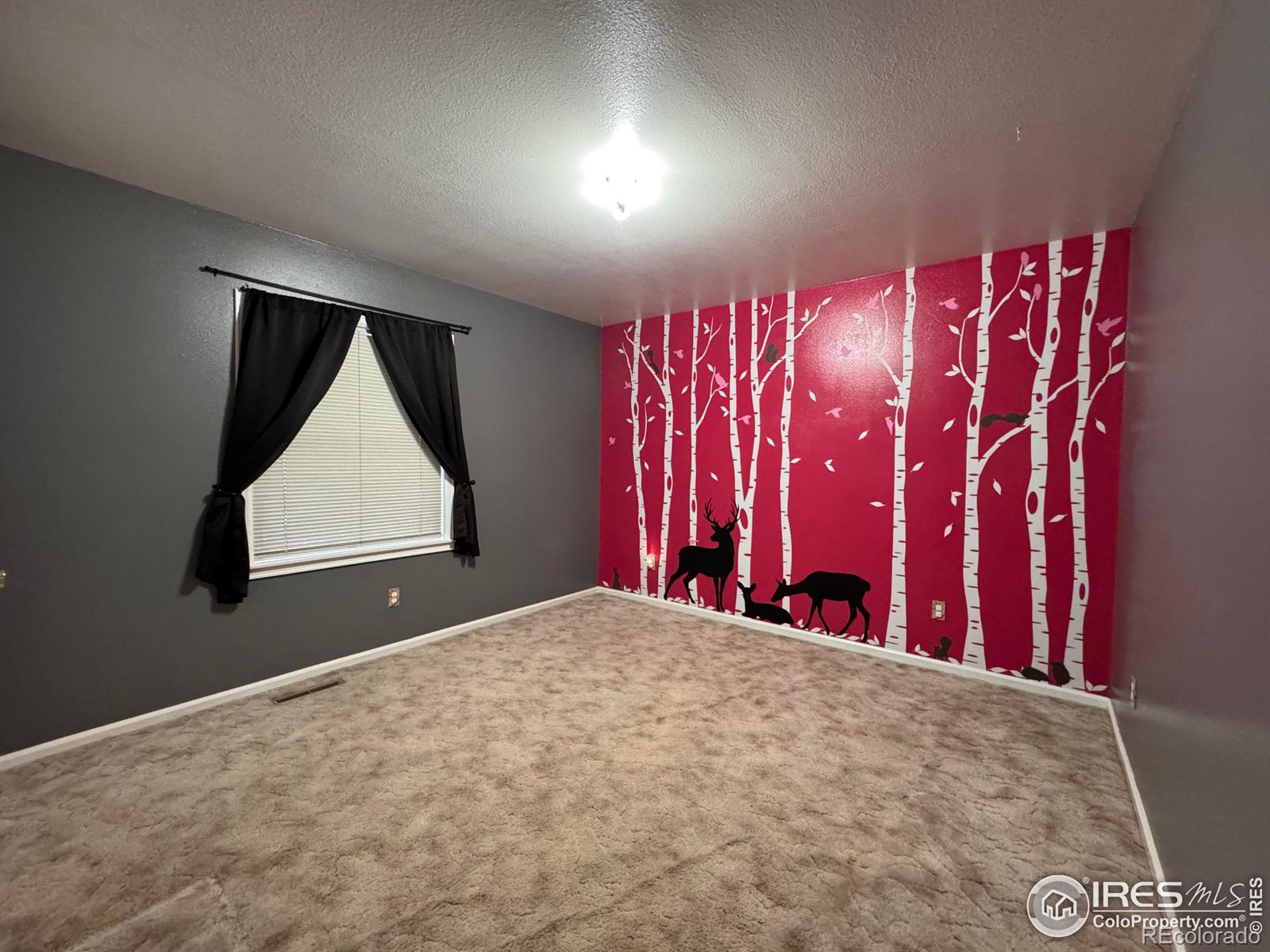 MLS Image #14 for 553  garfield street,walden, Colorado